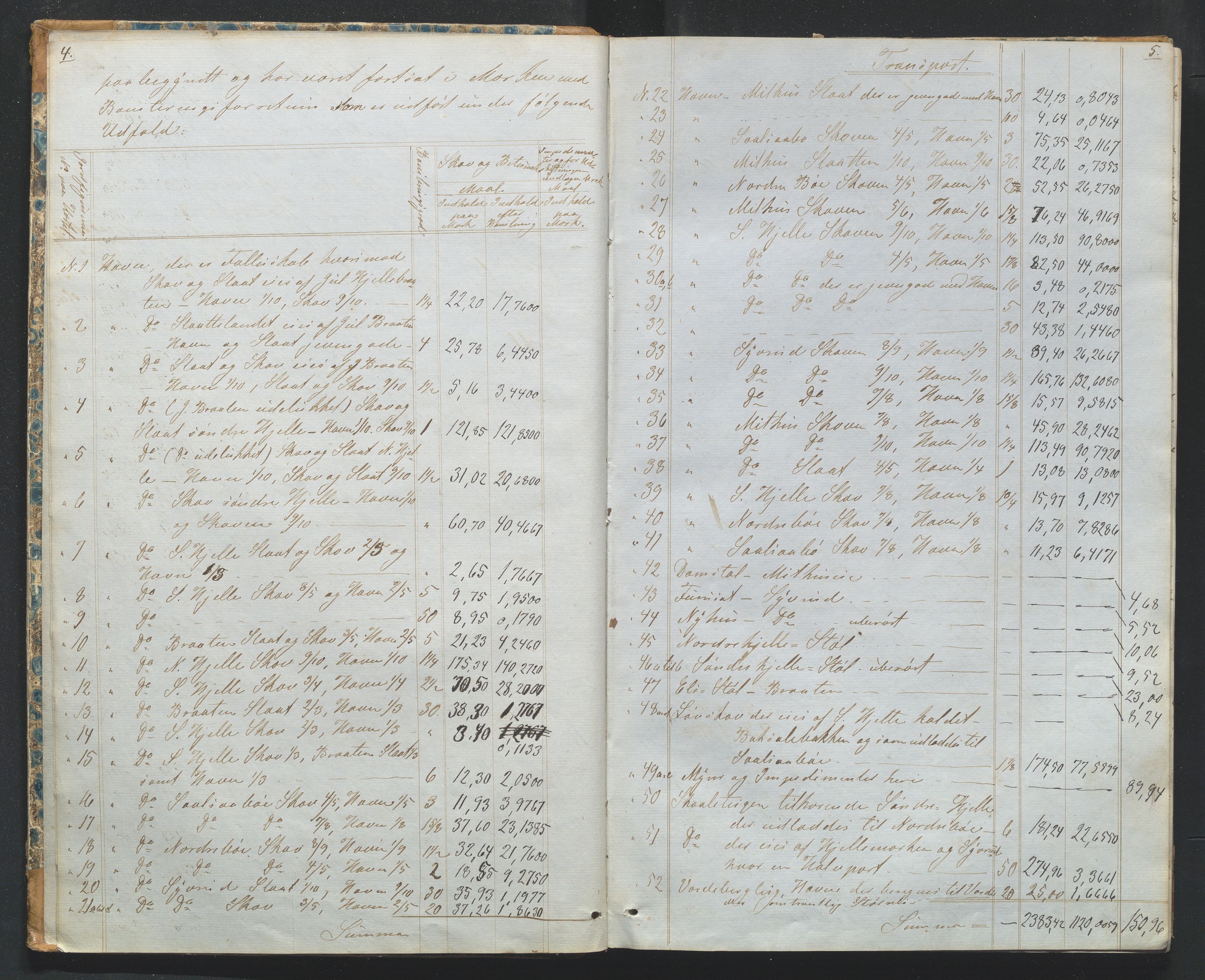 Utskiftningsformannen i Oppland fylke, AV/SAH-JORDSKIFTEO-001/H/Ha/Hag/L0002/0002: Forhandlingsprotokoller / Forhandlingsprotokoll - Valdres, 1867-1871, p. 4-5