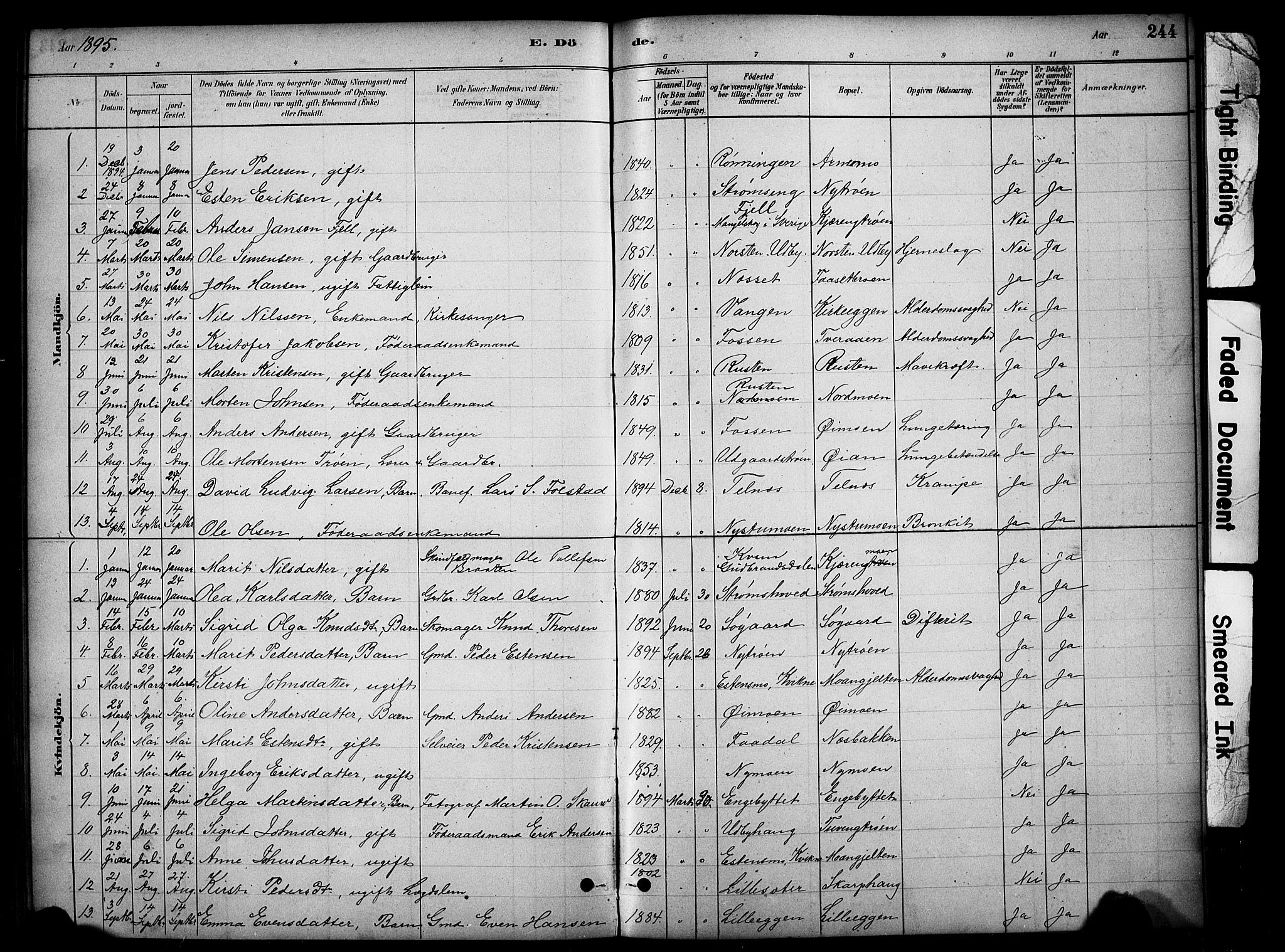 Tynset prestekontor, SAH/PREST-058/H/Ha/Hab/L0006: Parish register (copy) no. 6, 1880-1899, p. 244