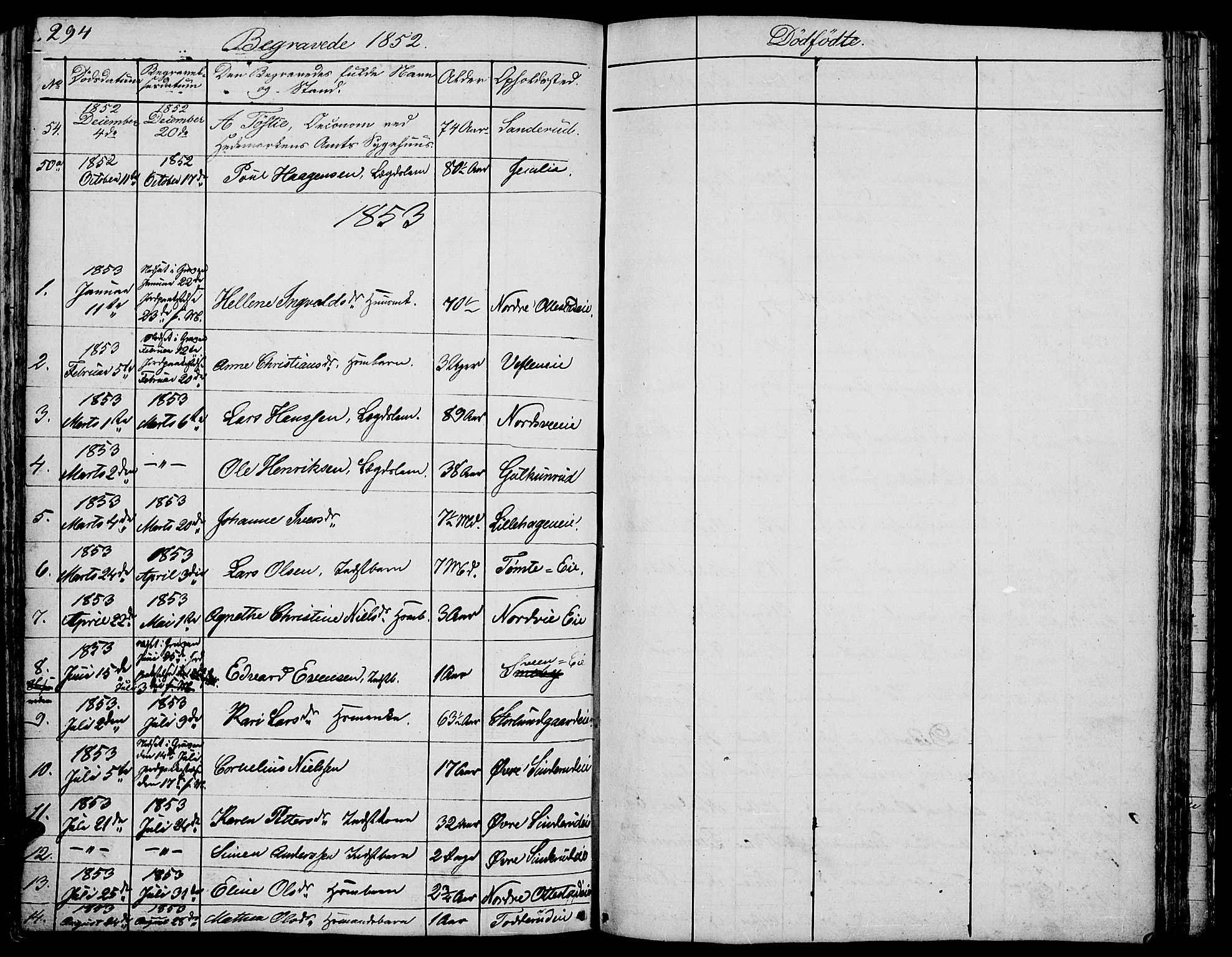 Stange prestekontor, SAH/PREST-002/L/L0002: Parish register (copy) no. 2, 1838-1879, p. 294