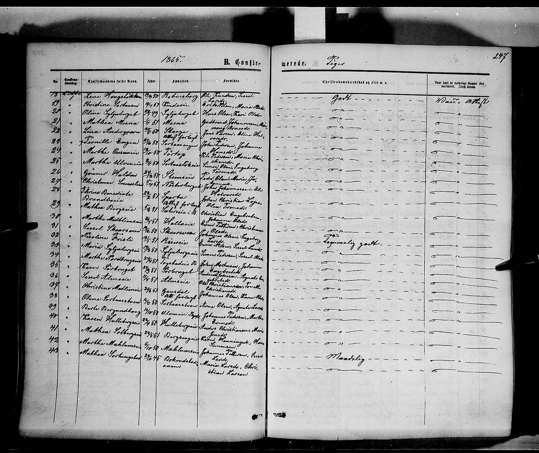 Ringsaker prestekontor, AV/SAH-PREST-014/K/Ka/L0010: Parish register (official) no. 10, 1861-1869, p. 247