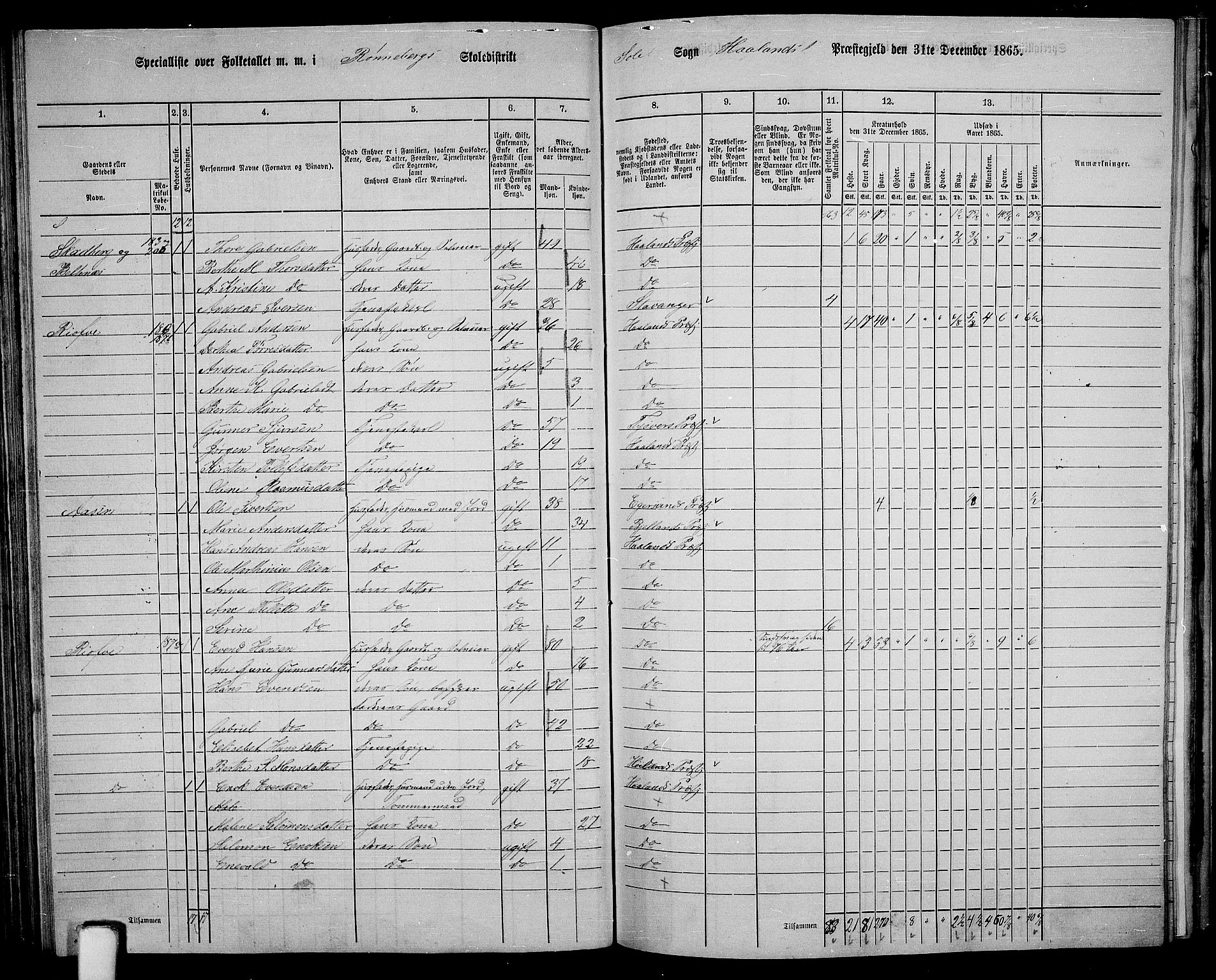 RA, 1865 census for Håland, 1865, p. 88