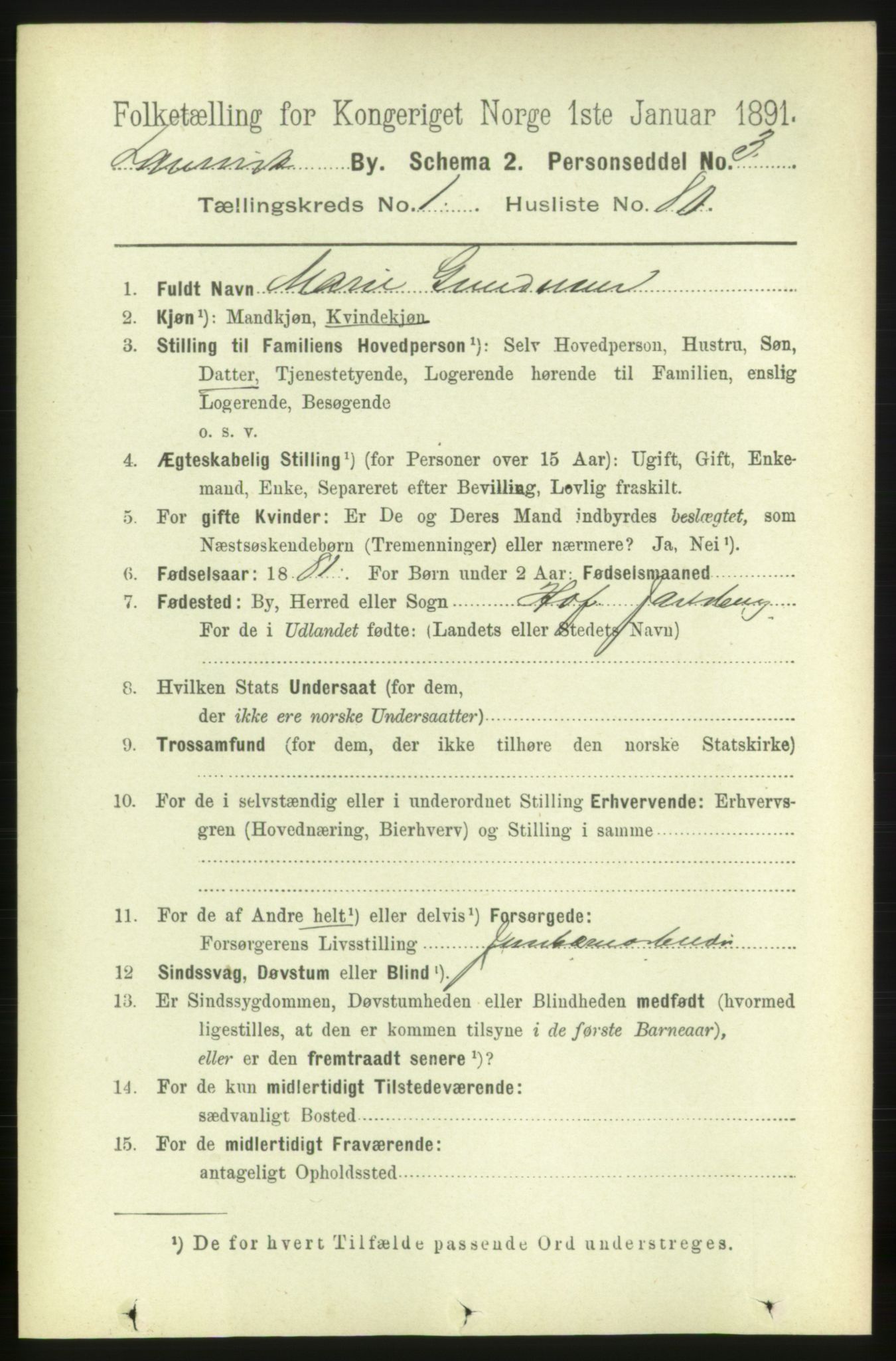 RA, 1891 census for 0707 Larvik, 1891, p. 3230