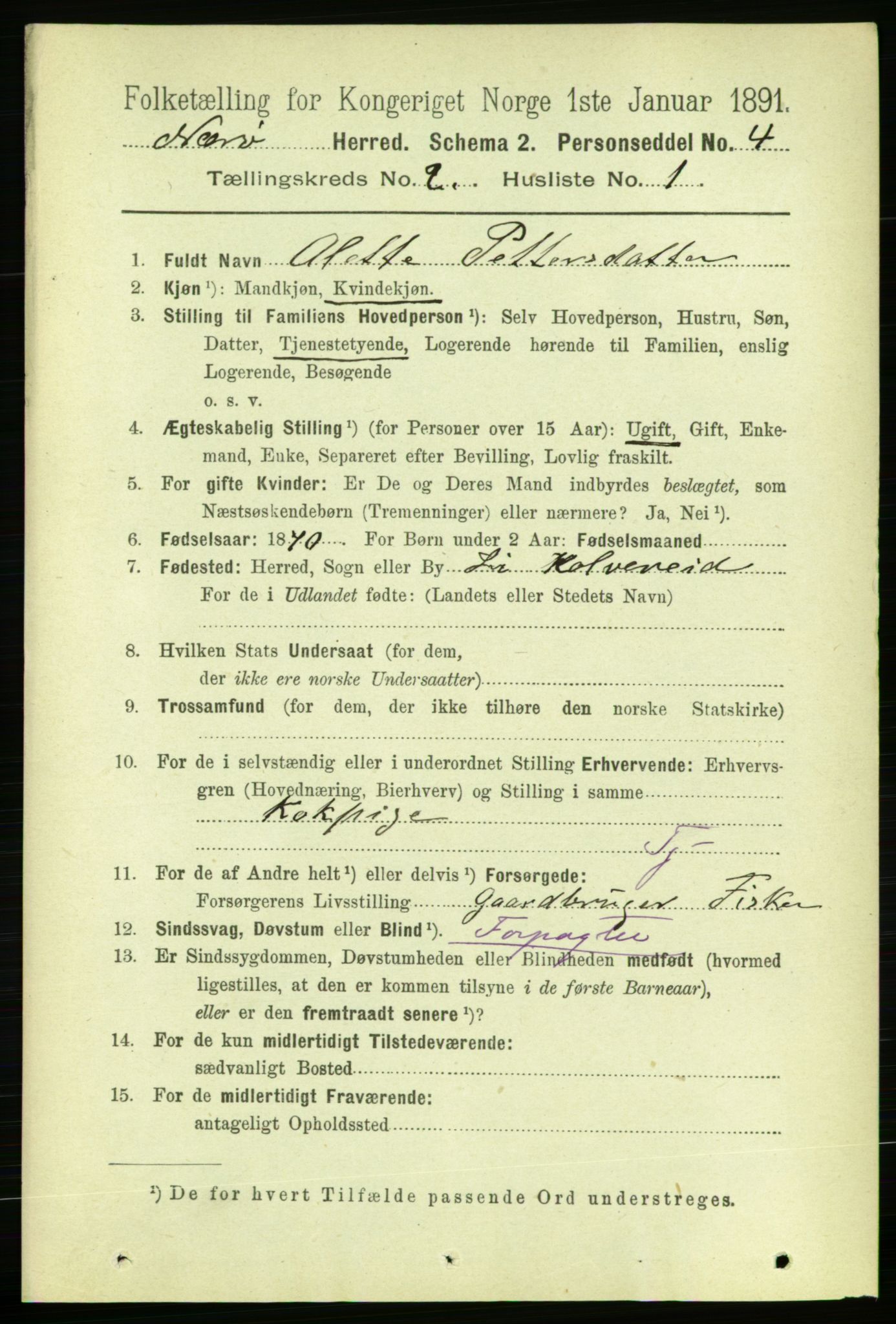 RA, 1891 census for 1751 Nærøy, 1891, p. 636