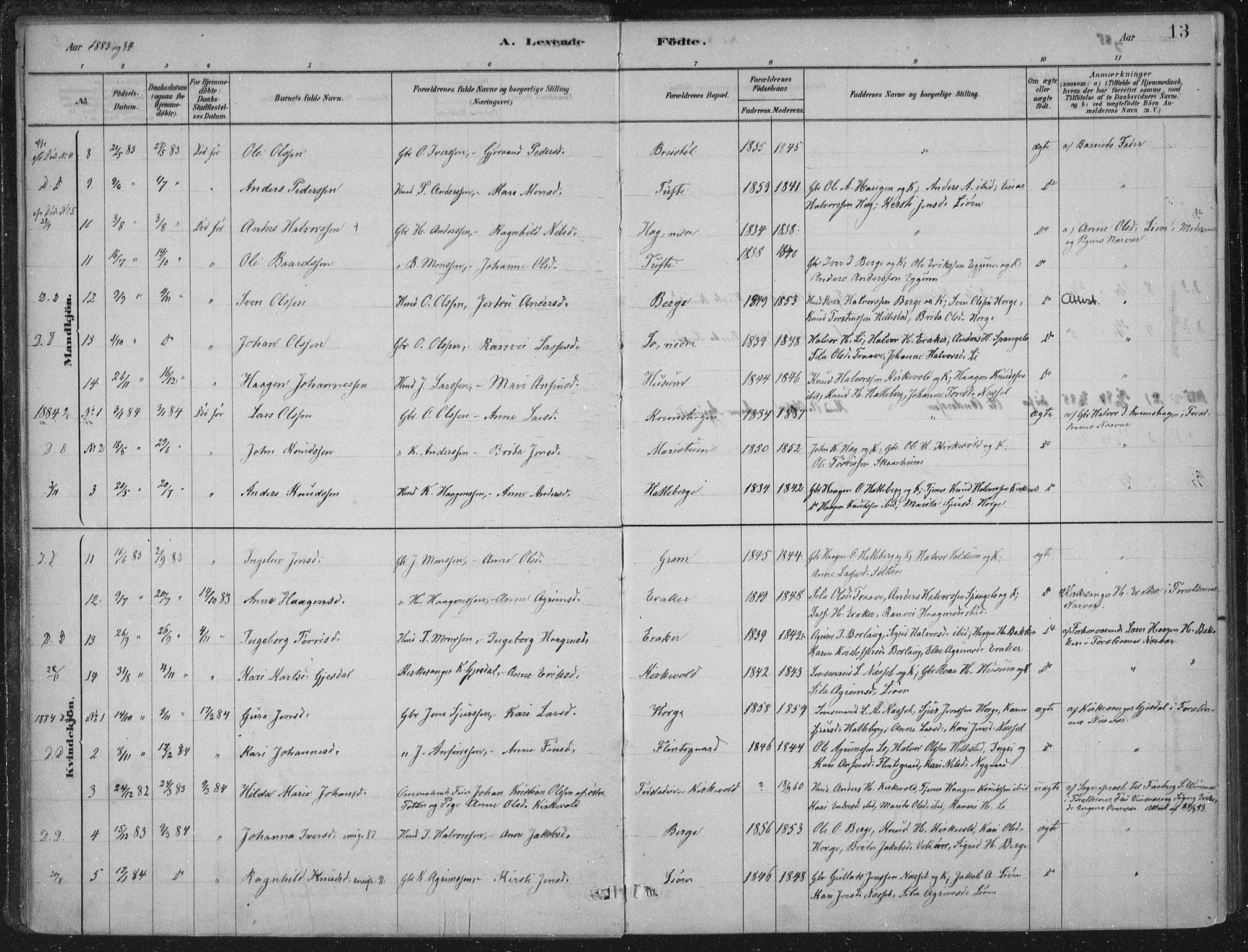 Lærdal sokneprestembete, SAB/A-81201: Parish register (official) no. C  1, 1878-1911, p. 13