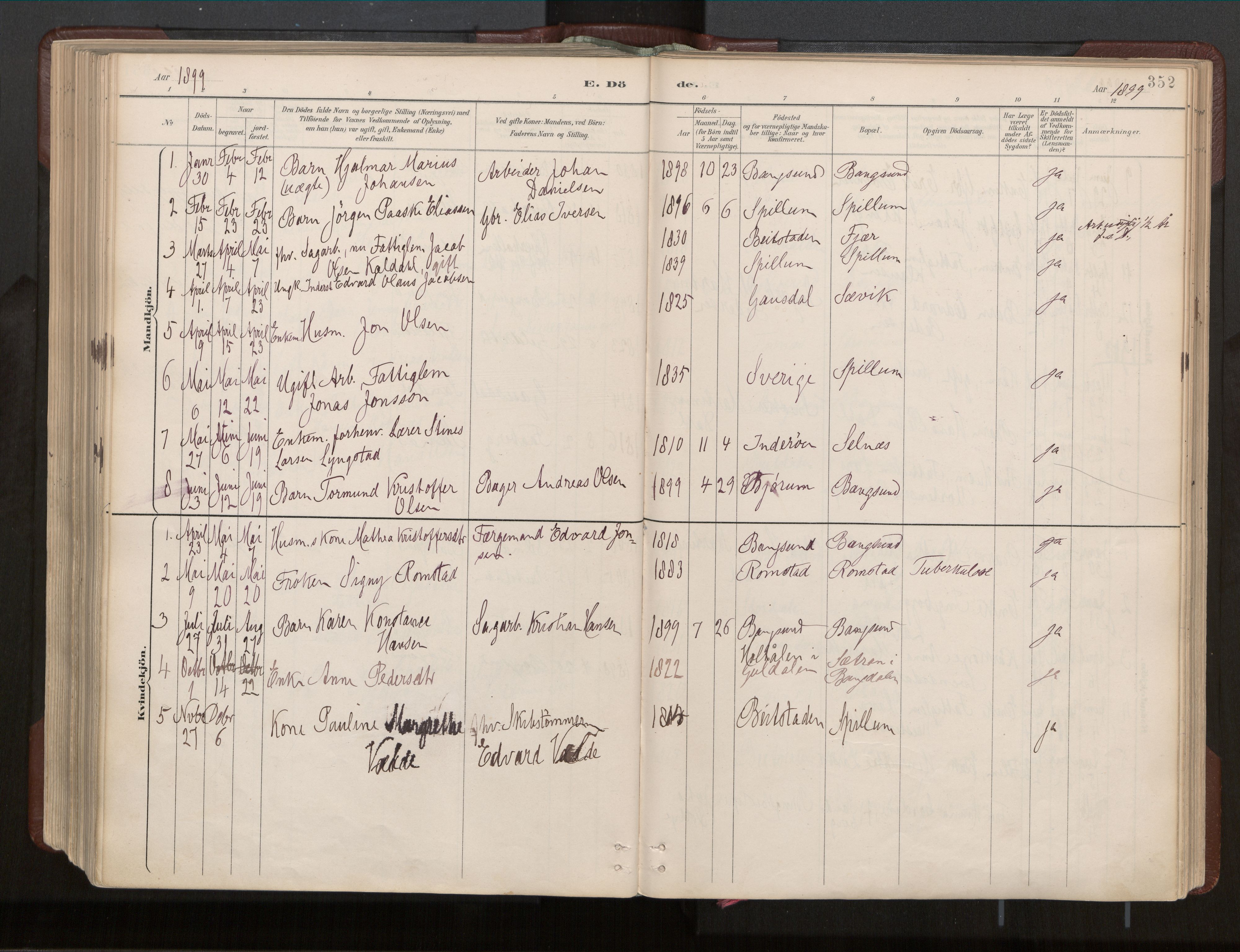 Ministerialprotokoller, klokkerbøker og fødselsregistre - Nord-Trøndelag, SAT/A-1458/770/L0589: Parish register (official) no. 770A03, 1887-1929, p. 352