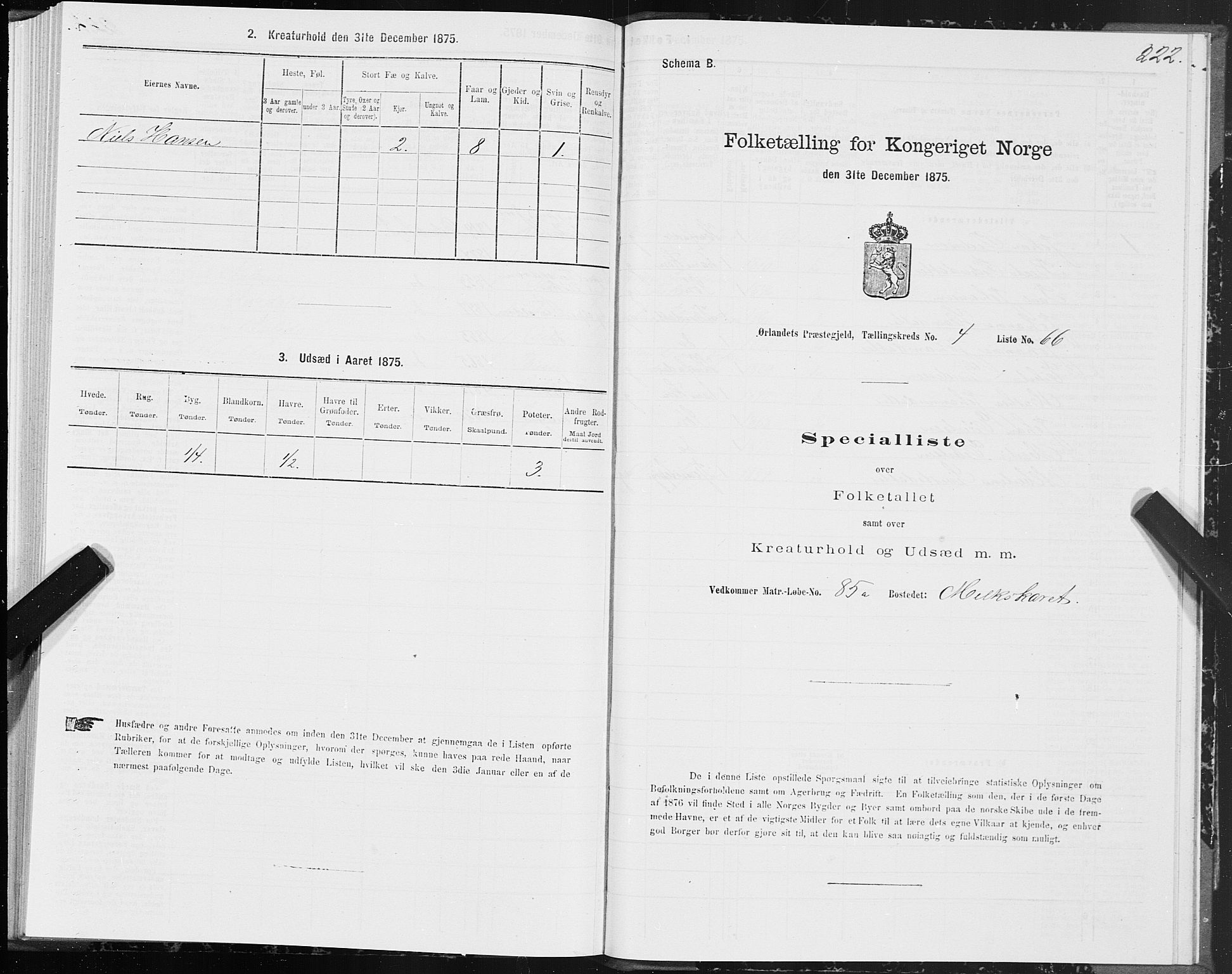 SAT, 1875 census for 1621P Ørland, 1875, p. 2222