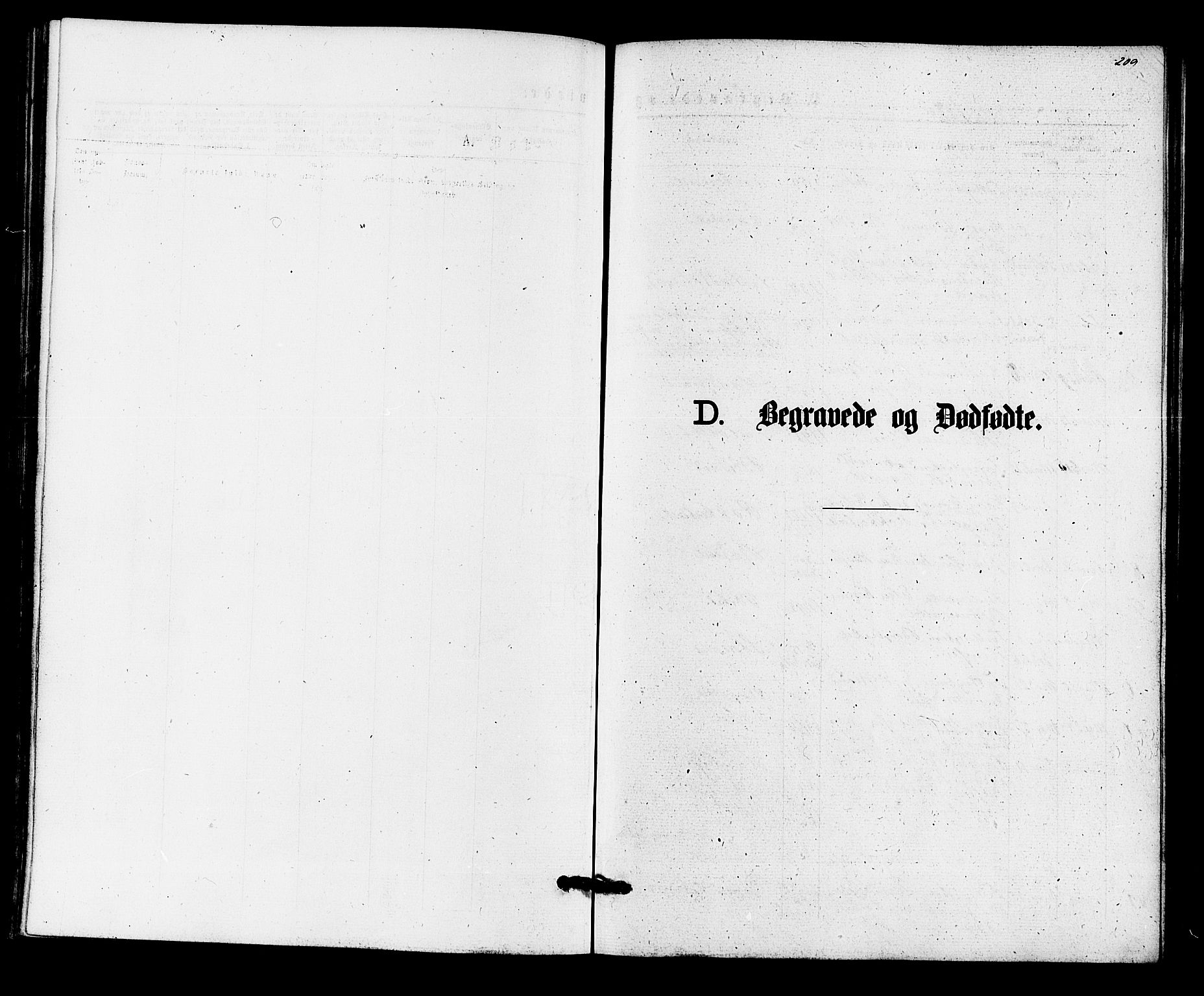 Hurum kirkebøker, SAKO/A-229/F/Fa/L0013: Parish register (official) no. 13, 1876-1881, p. 209