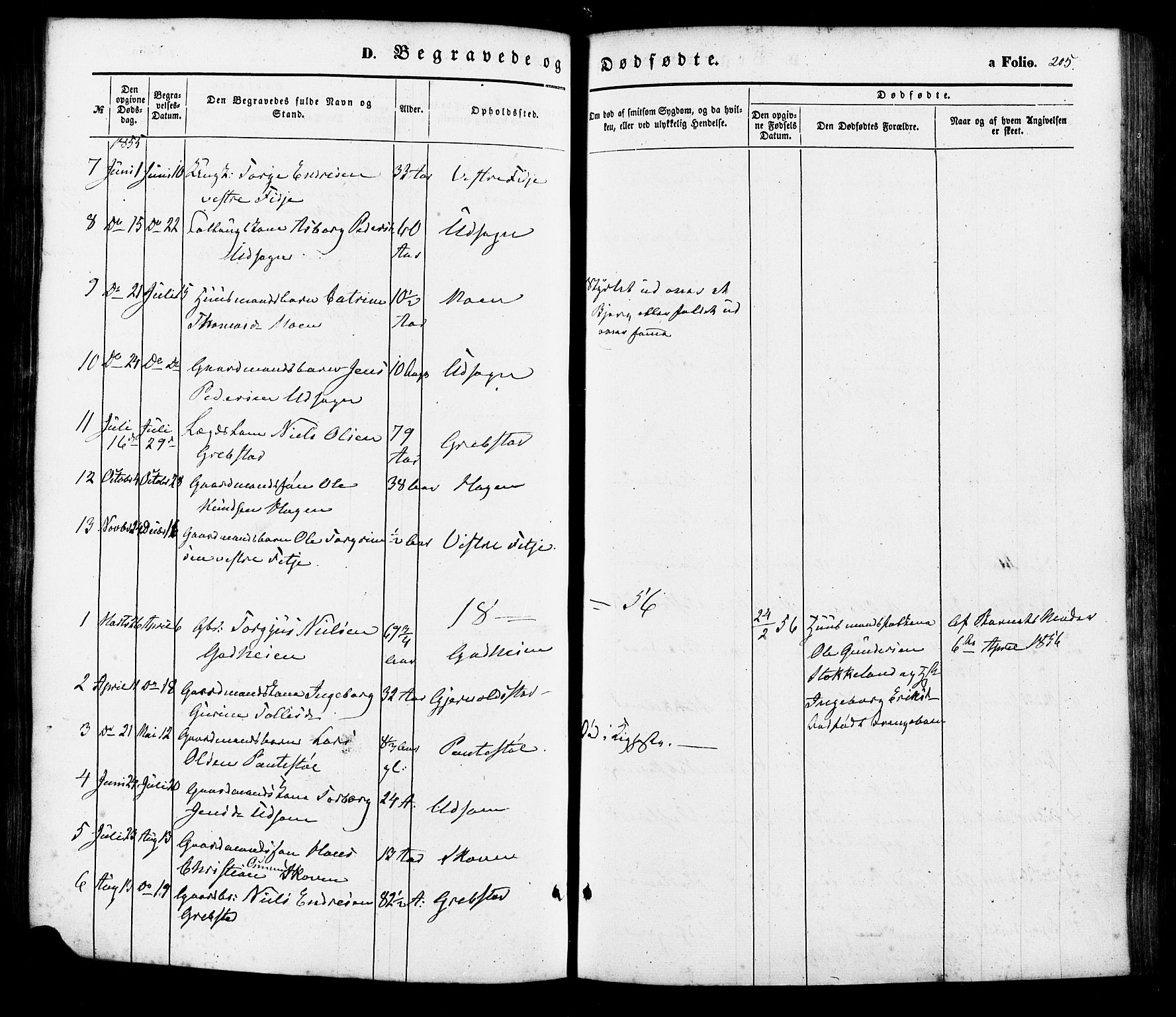 Søgne sokneprestkontor, AV/SAK-1111-0037/F/Fa/Faa/L0002: Parish register (official) no. A 2, 1854-1882, p. 205