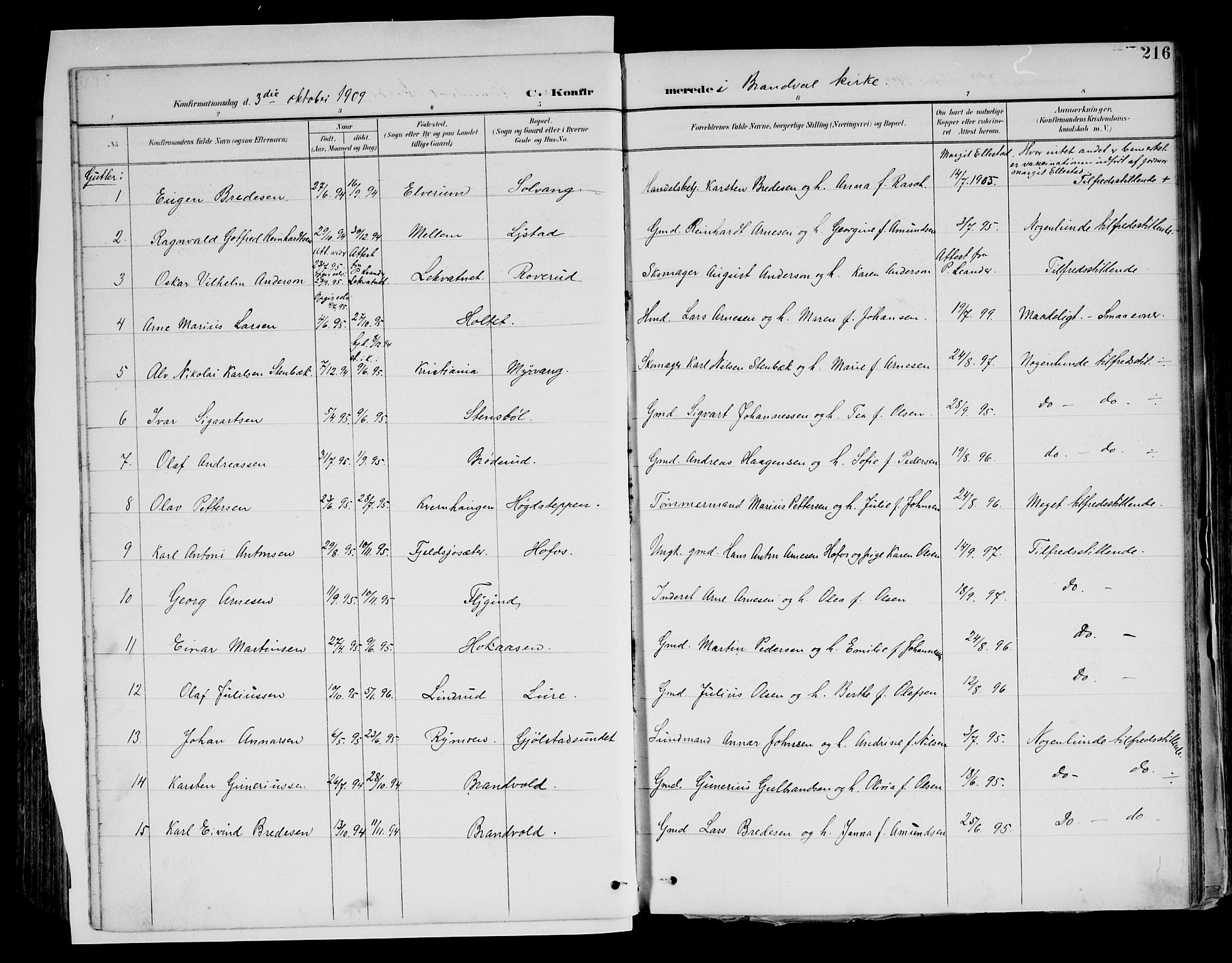 Brandval prestekontor, SAH/PREST-034/H/Ha/Haa/L0003: Parish register (official) no. 3, 1894-1909, p. 216