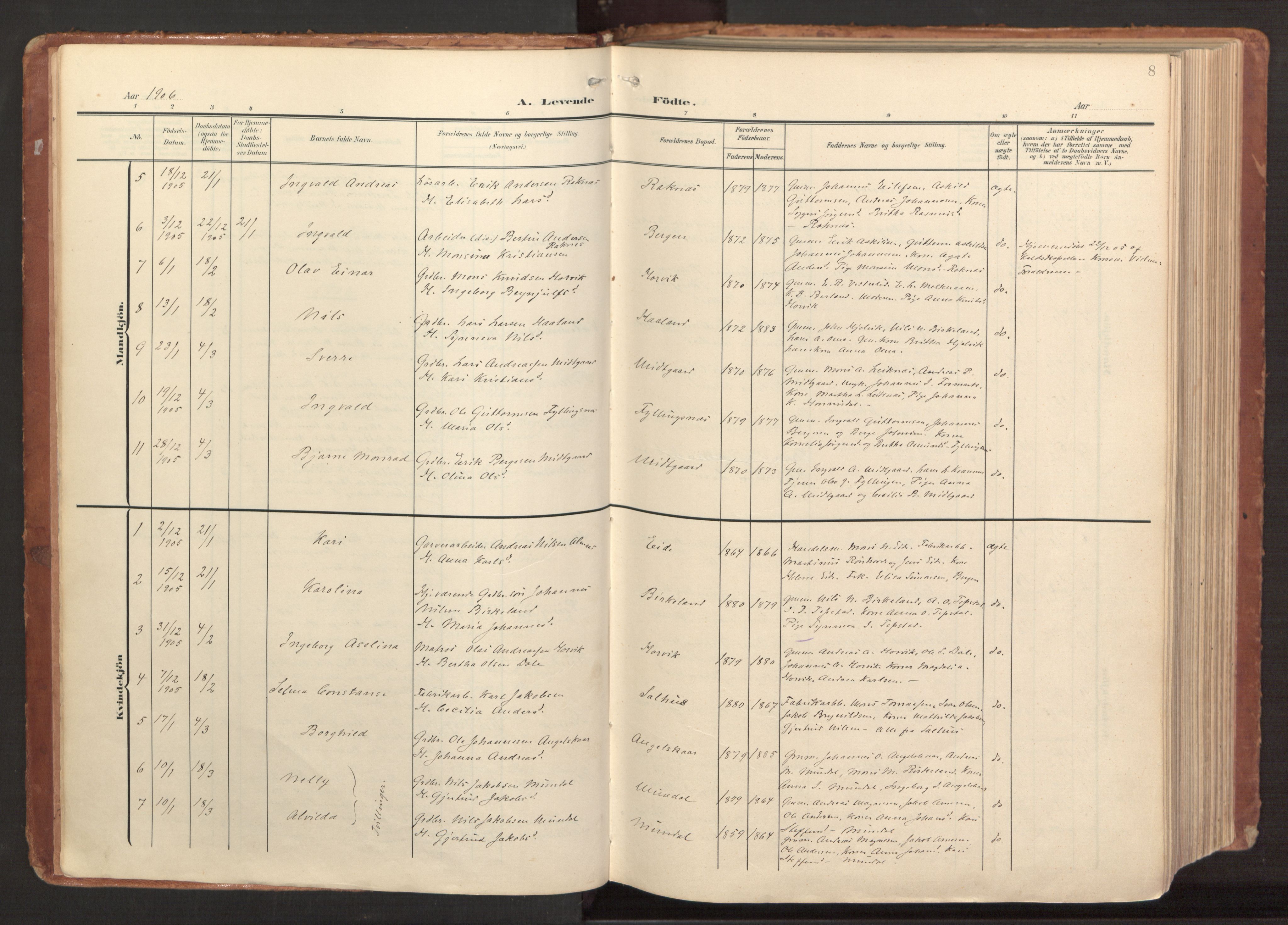 Hamre sokneprestembete, AV/SAB-A-75501/H/Ha/Haa/Haab/L0002: Parish register (official) no. B 2, 1905-1924, p. 8