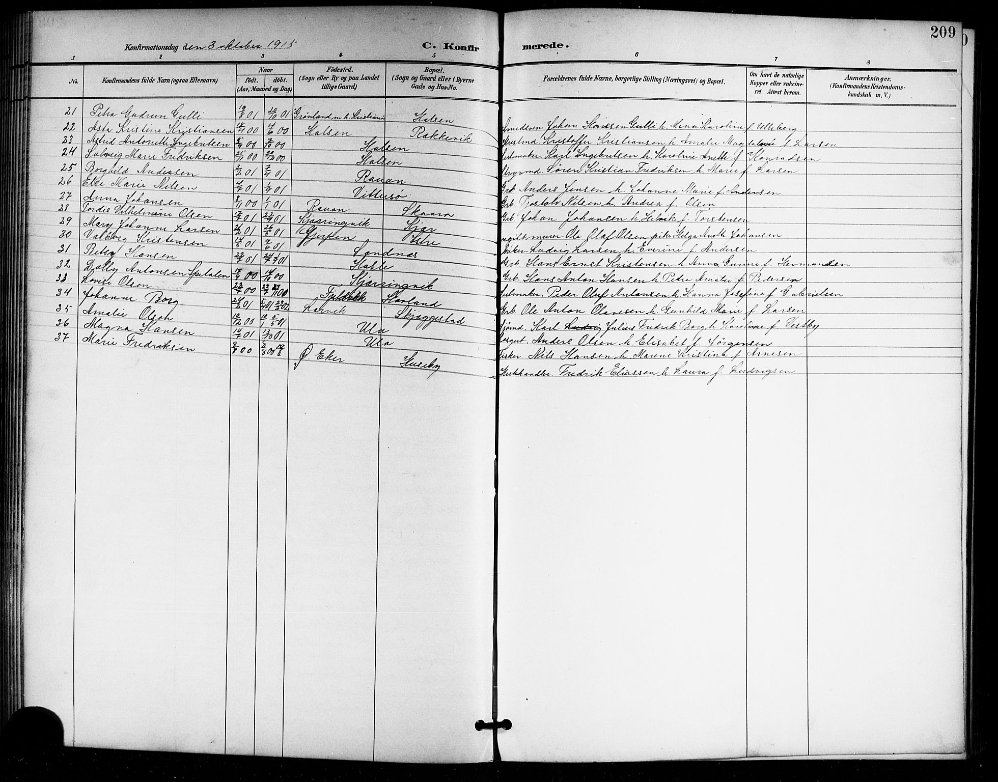 Tjølling kirkebøker, AV/SAKO-A-60/G/Ga/L0002: Parish register (copy) no. 2, 1895-1918, p. 209