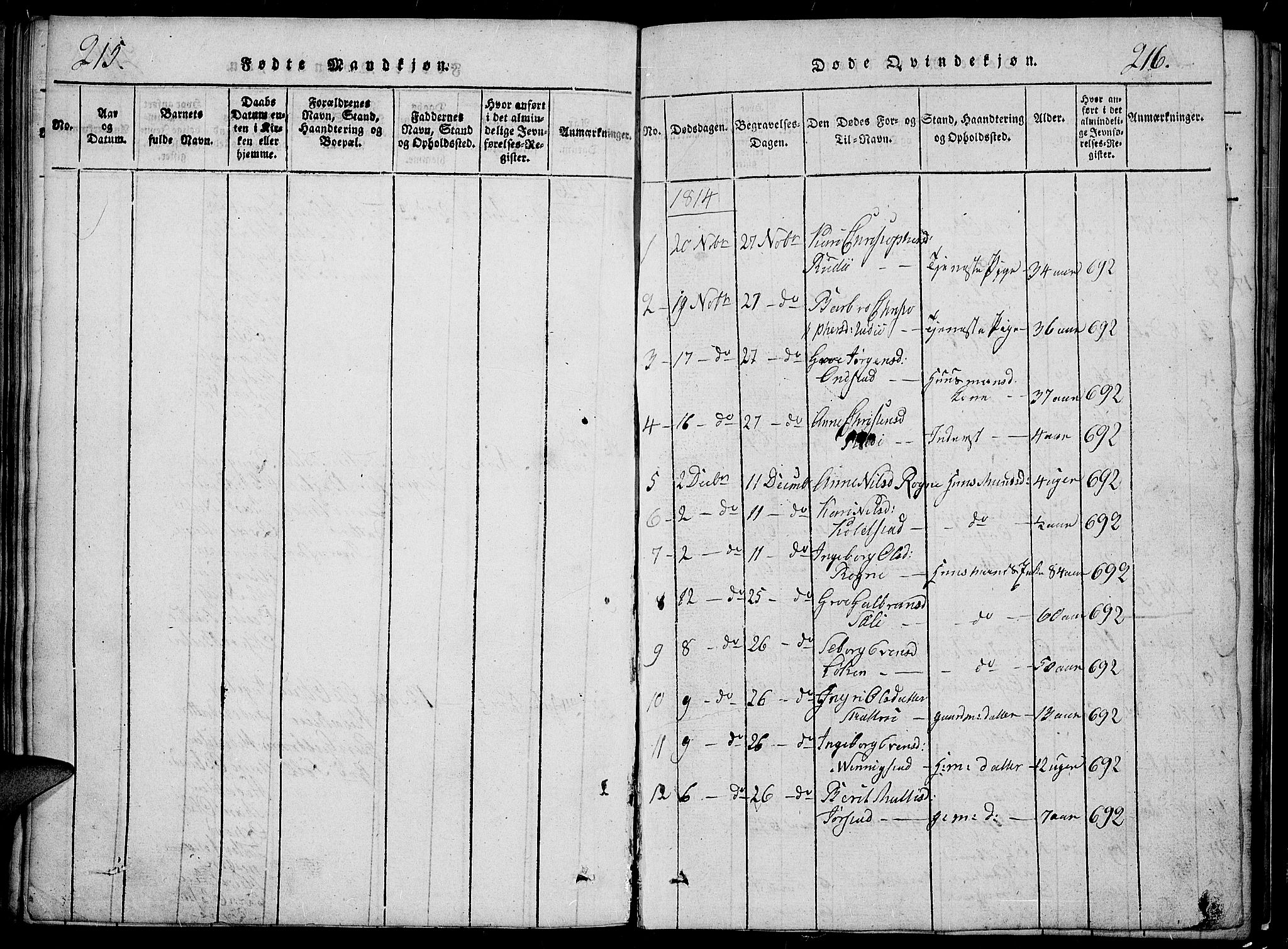 Slidre prestekontor, SAH/PREST-134/H/Ha/Hab/L0002: Parish register (copy) no. 2, 1814-1839, p. 215-216