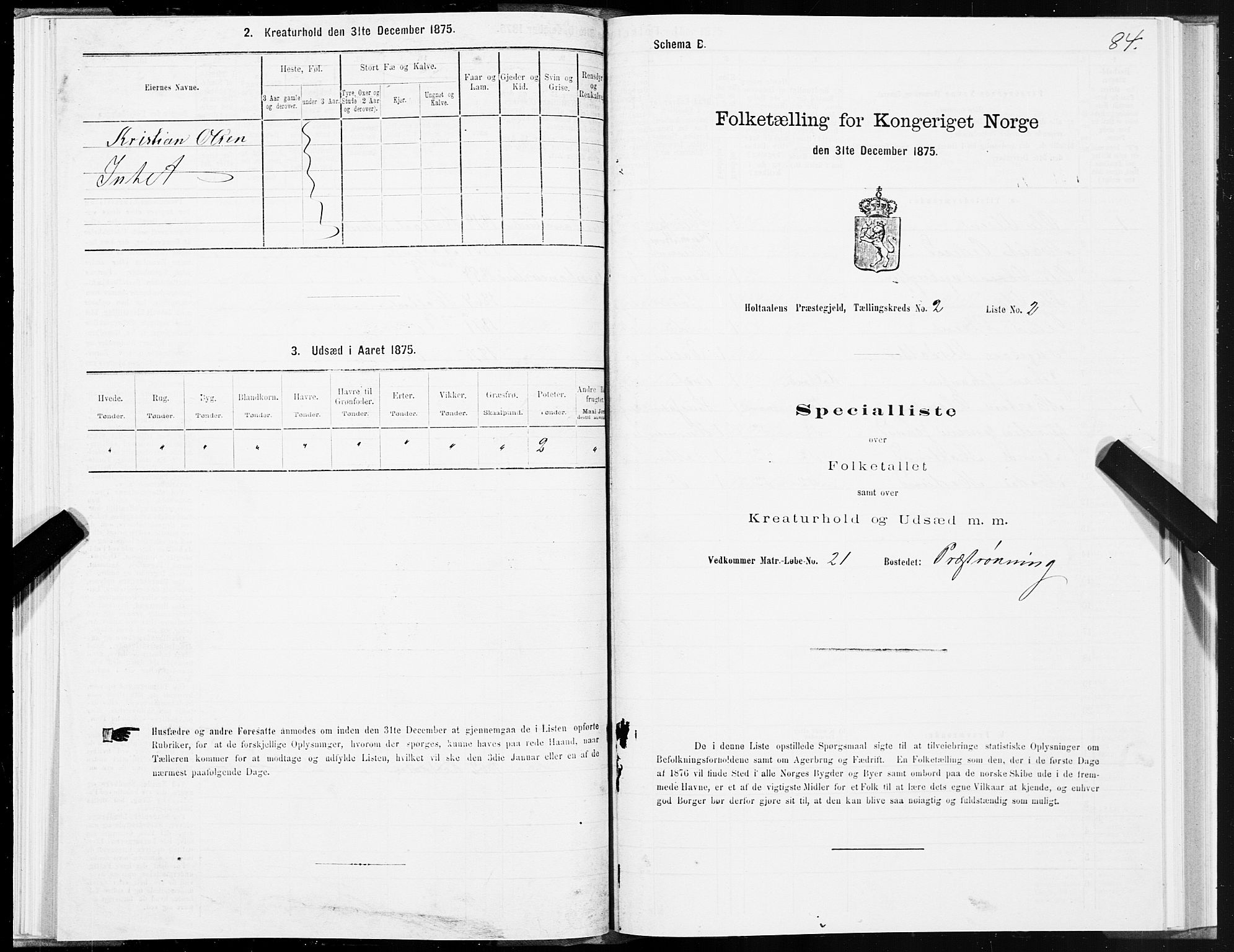 SAT, 1875 census for 1645P Haltdalen, 1875, p. 1084