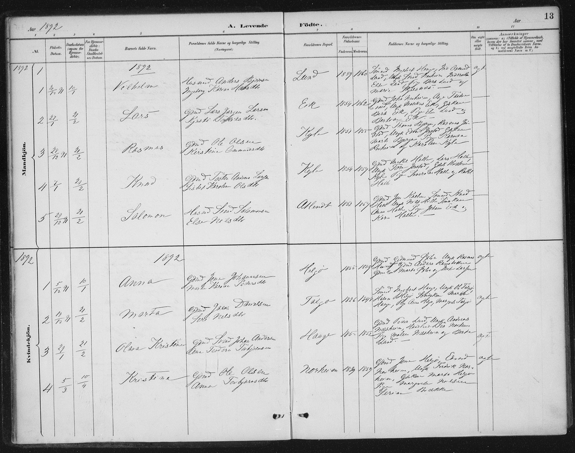 Nedstrand sokneprestkontor, AV/SAST-A-101841/01/IV: Parish register (official) no. A 13, 1887-1915, p. 13