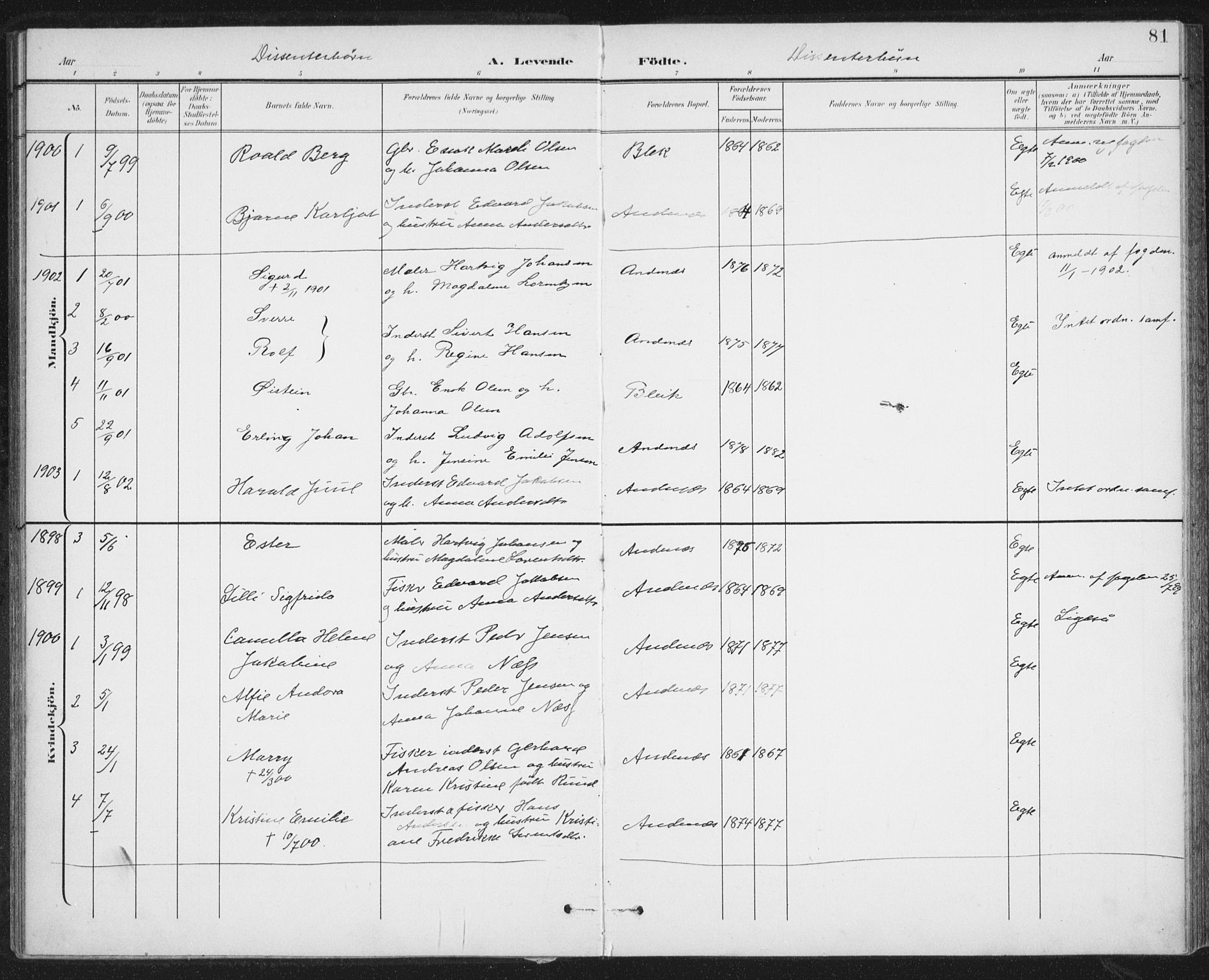 Ministerialprotokoller, klokkerbøker og fødselsregistre - Nordland, SAT/A-1459/899/L1437: Parish register (official) no. 899A05, 1897-1908, p. 81
