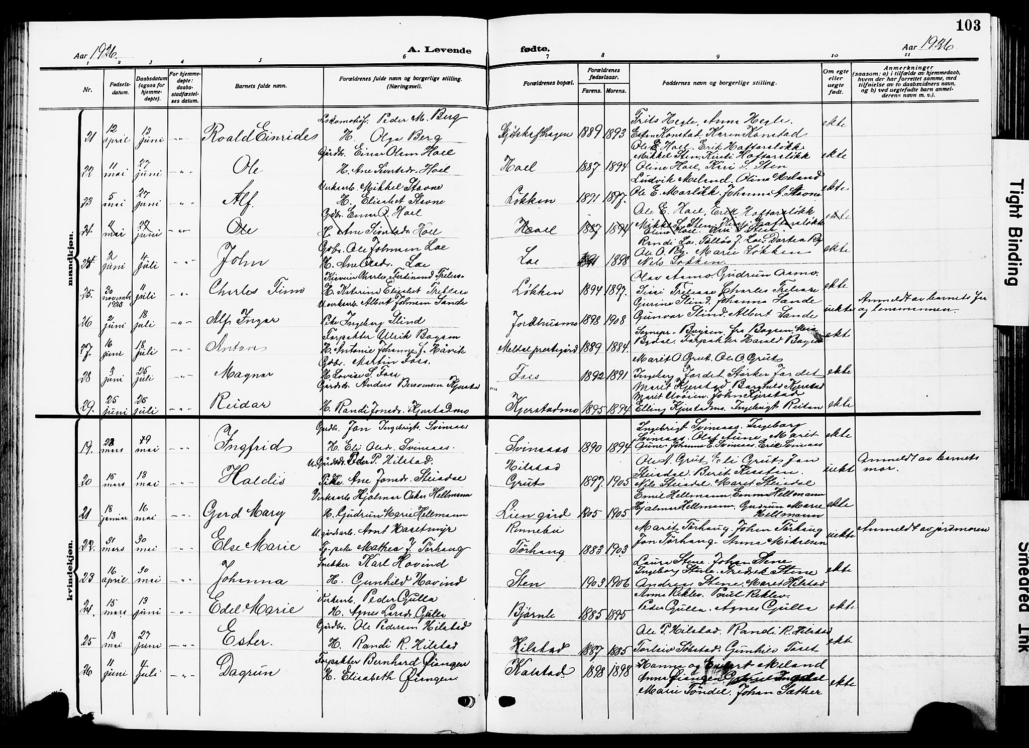 Ministerialprotokoller, klokkerbøker og fødselsregistre - Sør-Trøndelag, AV/SAT-A-1456/672/L0865: Parish register (copy) no. 672C04, 1914-1928, p. 103