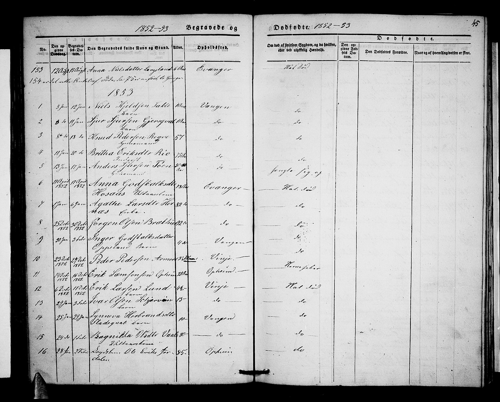 Voss sokneprestembete, AV/SAB-A-79001/H/Haa: Parish register (official) no. A 15, 1845-1855, p. 45