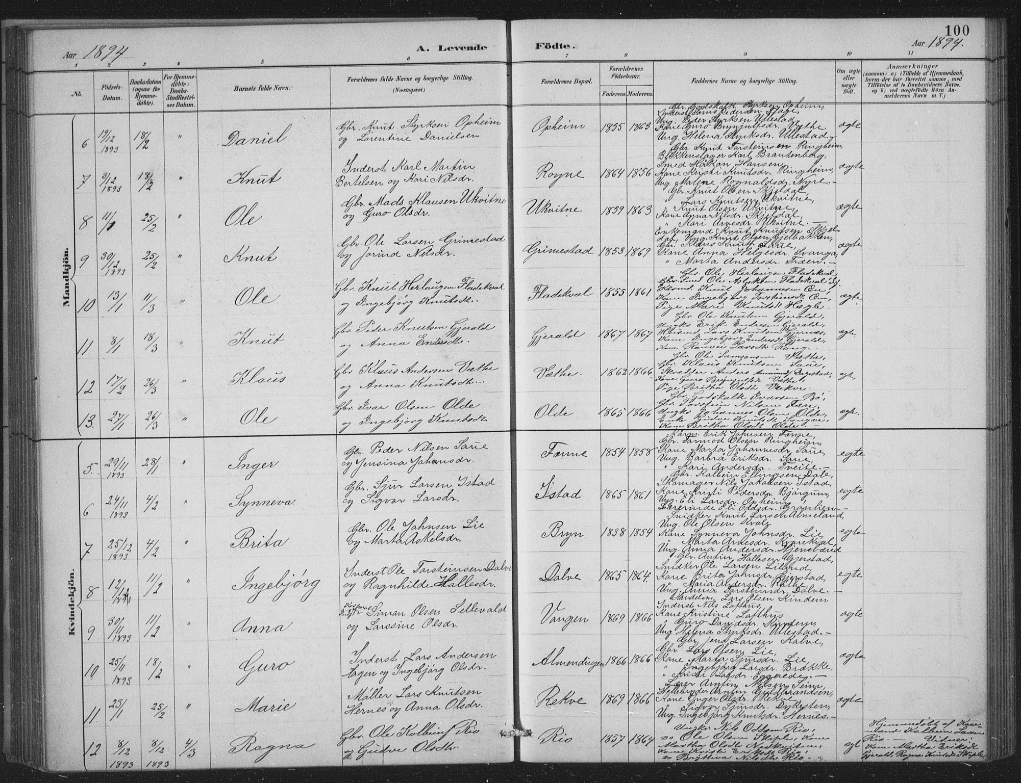 Voss sokneprestembete, AV/SAB-A-79001/H/Hab: Parish register (copy) no. C 1, 1886-1899, p. 100