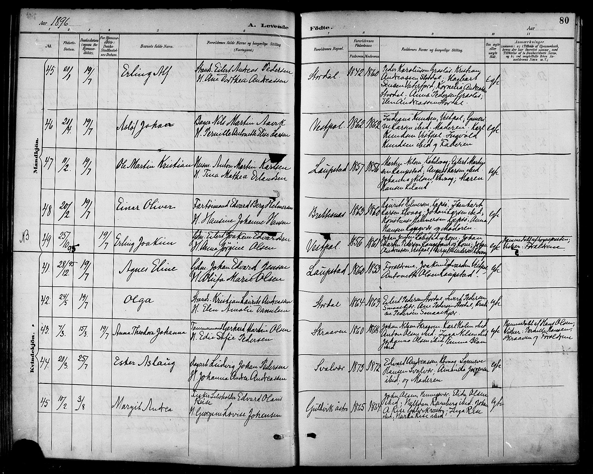 Ministerialprotokoller, klokkerbøker og fødselsregistre - Nordland, AV/SAT-A-1459/874/L1060: Parish register (official) no. 874A04, 1890-1899, p. 80