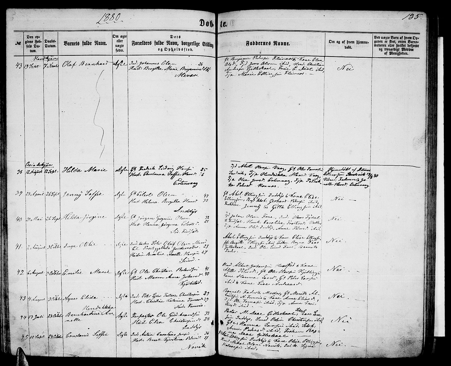 Ministerialprotokoller, klokkerbøker og fødselsregistre - Nordland, AV/SAT-A-1459/805/L0107: Parish register (copy) no. 805C03, 1862-1885, p. 135