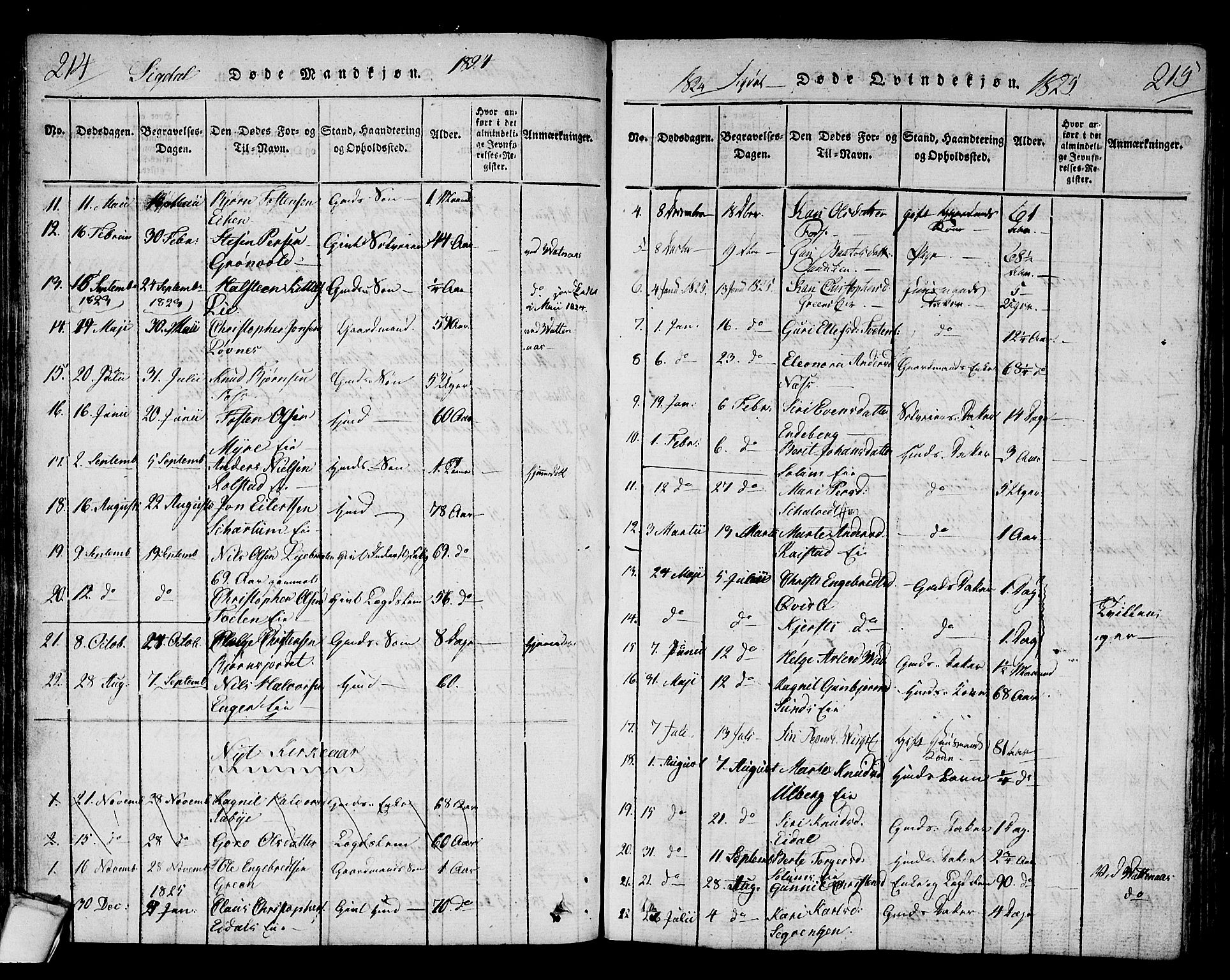 Sigdal kirkebøker, AV/SAKO-A-245/F/Fa/L0005: Parish register (official) no. I 5 /1, 1815-1829, p. 214-215