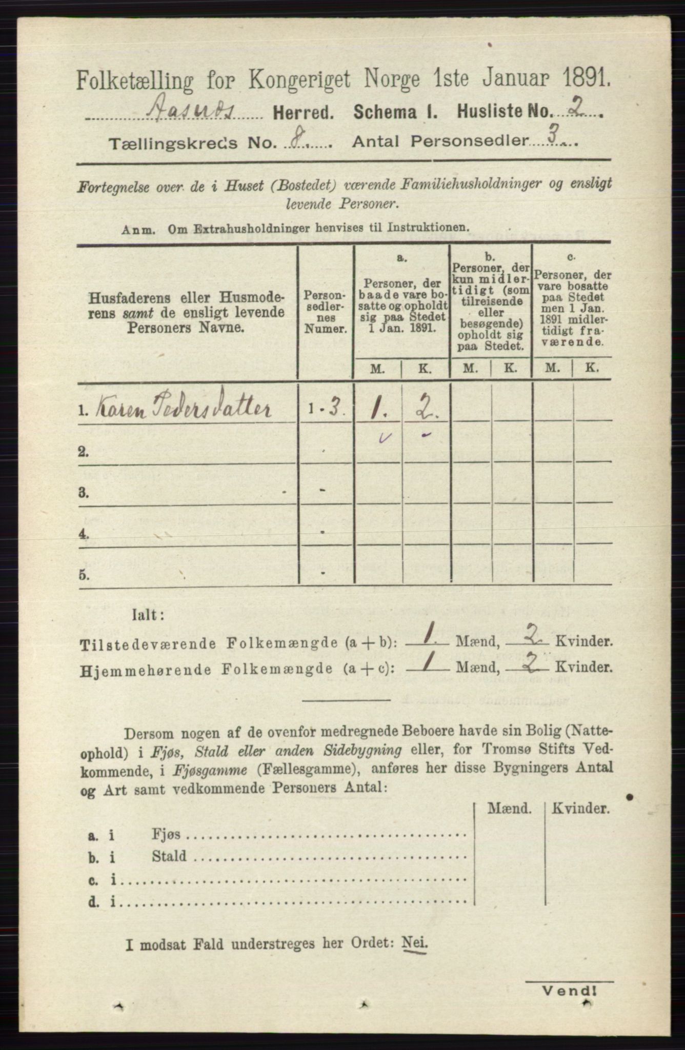 RA, 1891 census for 0425 Åsnes, 1891, p. 4119