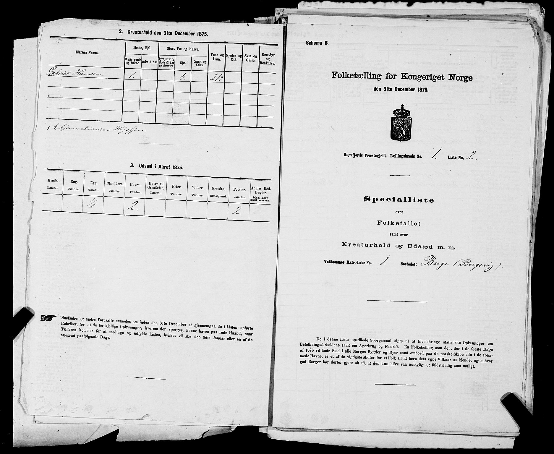 SAST, 1875 census for 1128P Høgsfjord, 1875, p. 67