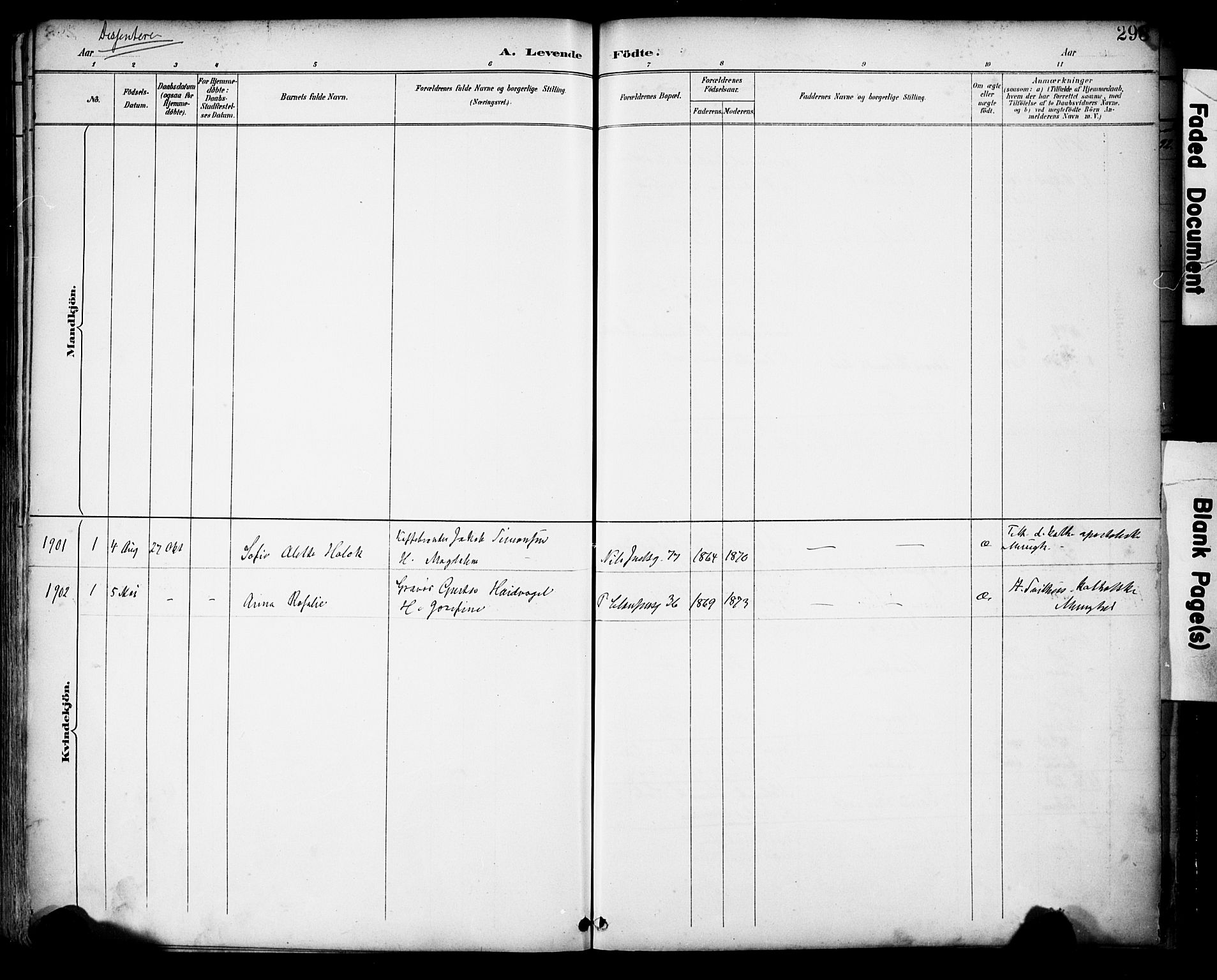 Domkirken sokneprestkontor, SAST/A-101812/001/30/30BA/L0030: Parish register (official) no. A 29, 1889-1902, p. 296