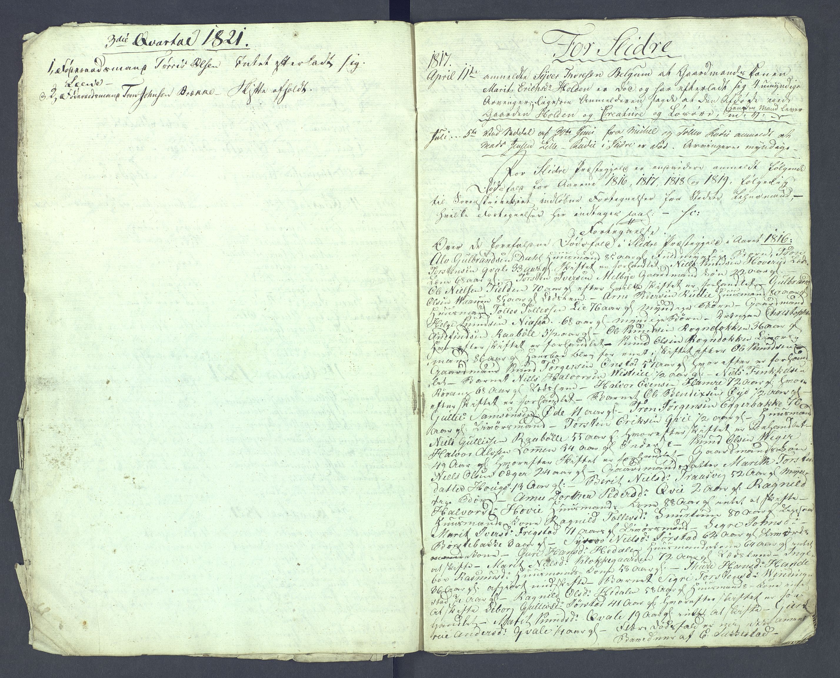 Valdres sorenskriveri, AV/SAH-TING-016/J/Je/L0001/0001: Dødsfallsprotokoller / Dødsfallsprotokoll, 1816-1821