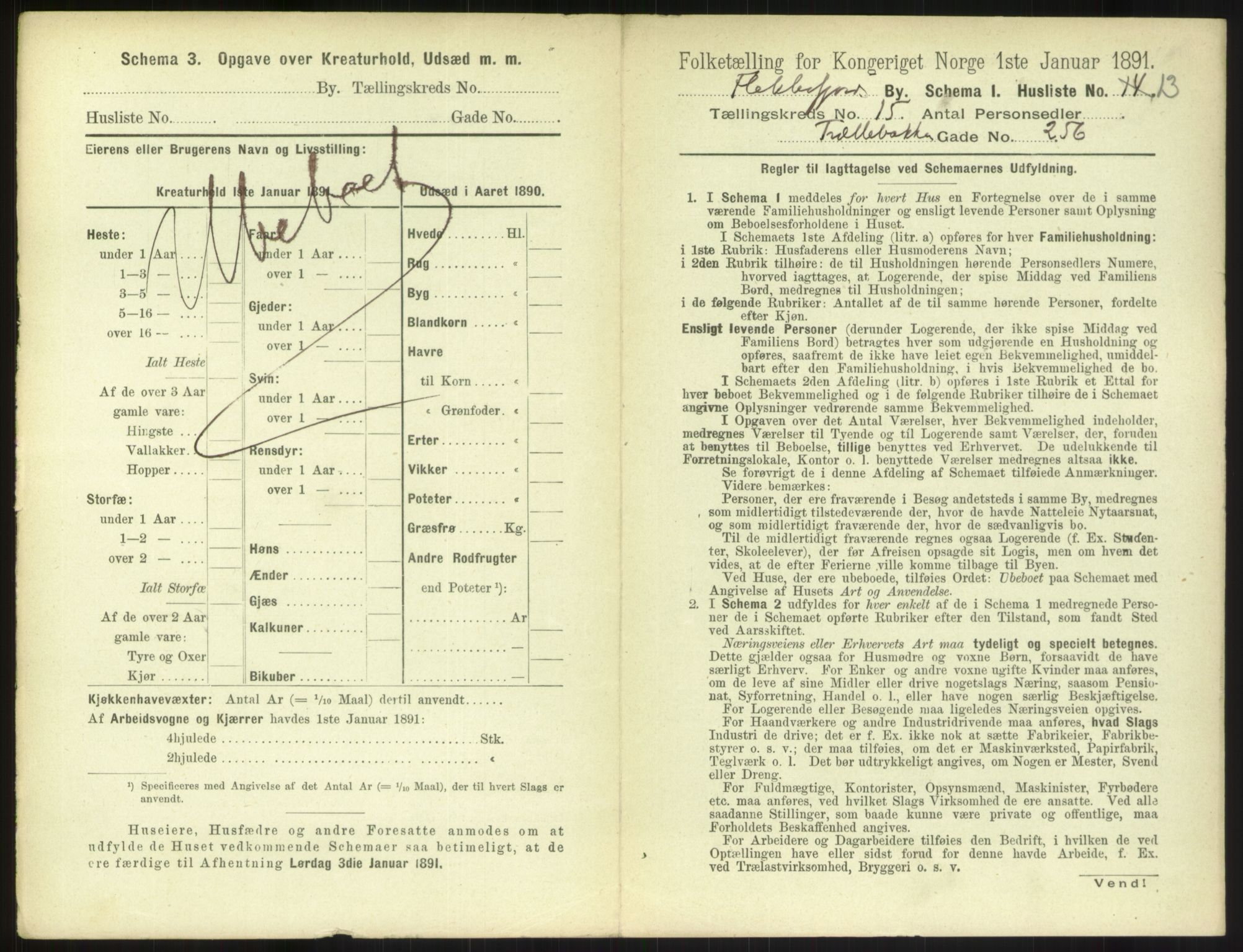 RA, 1891 census for 1004 Flekkefjord, 1891, p. 540