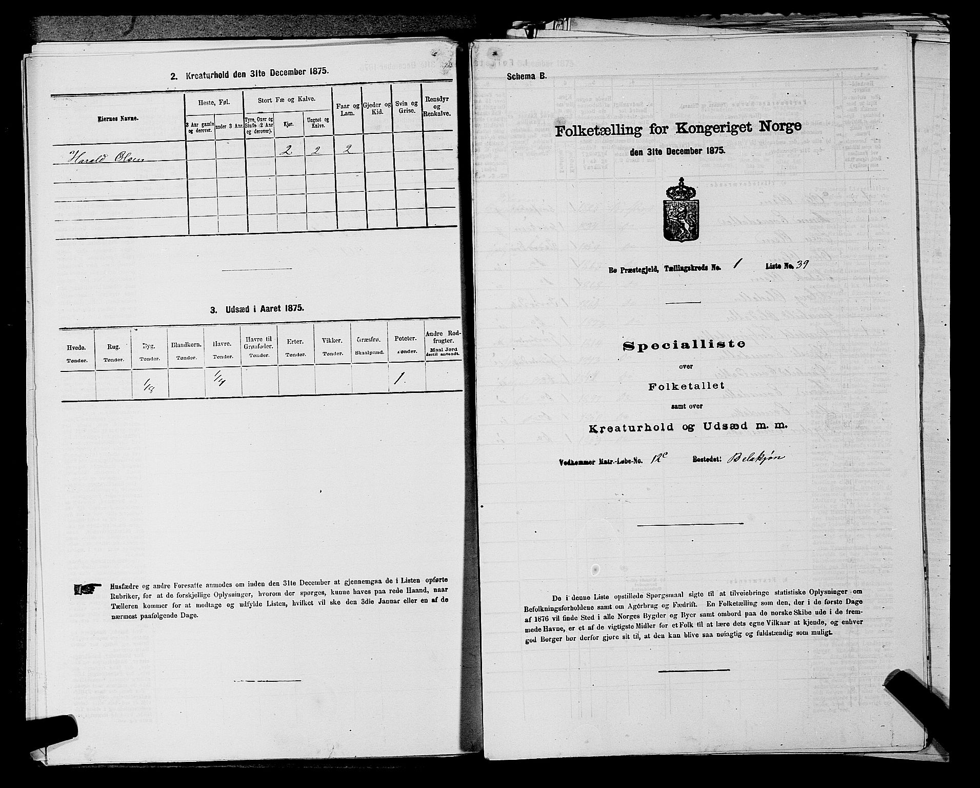 SAKO, 1875 census for 0821P Bø, 1875, p. 118