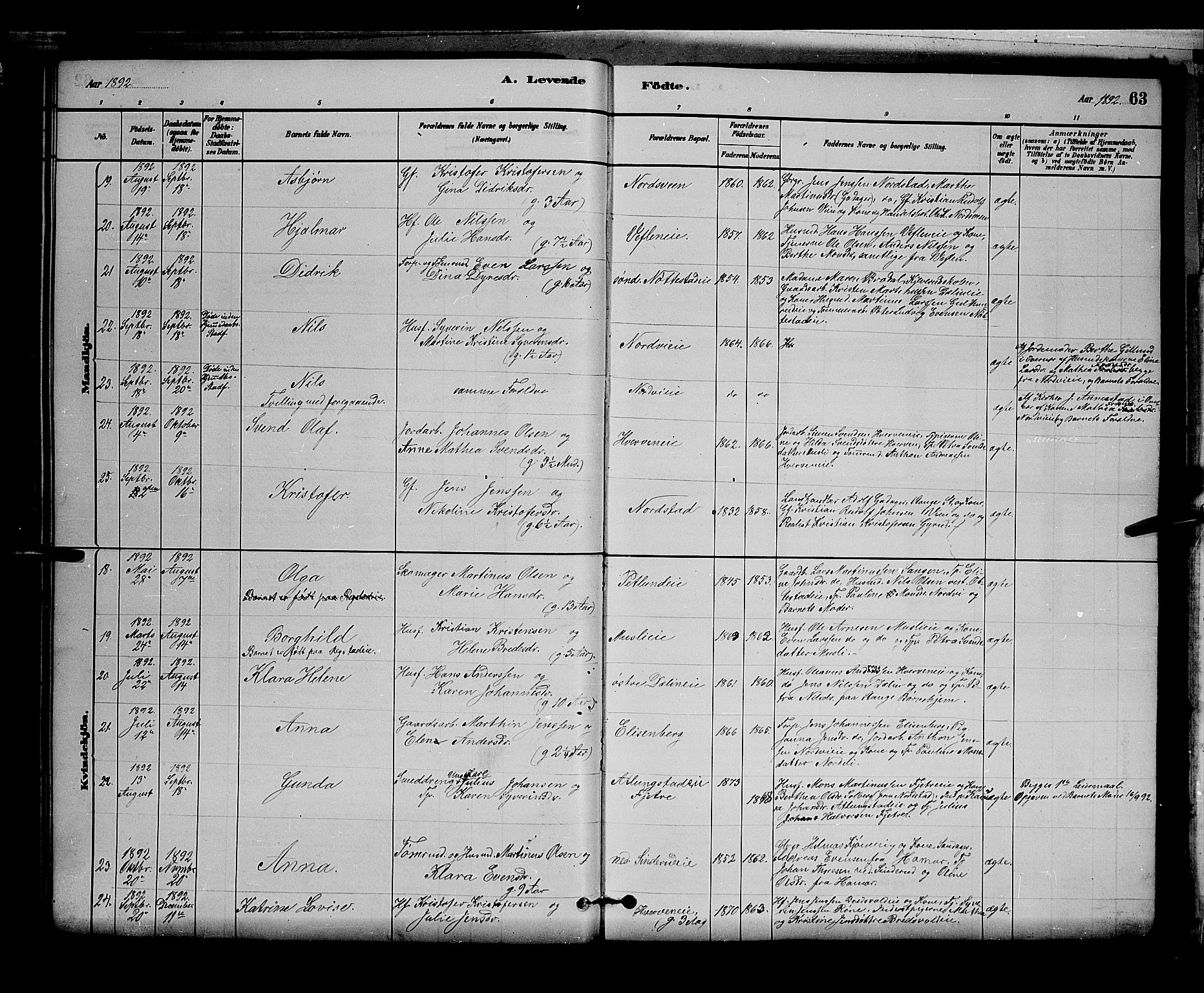 Stange prestekontor, AV/SAH-PREST-002/L/L0007: Parish register (copy) no. 7, 1880-1893, p. 63