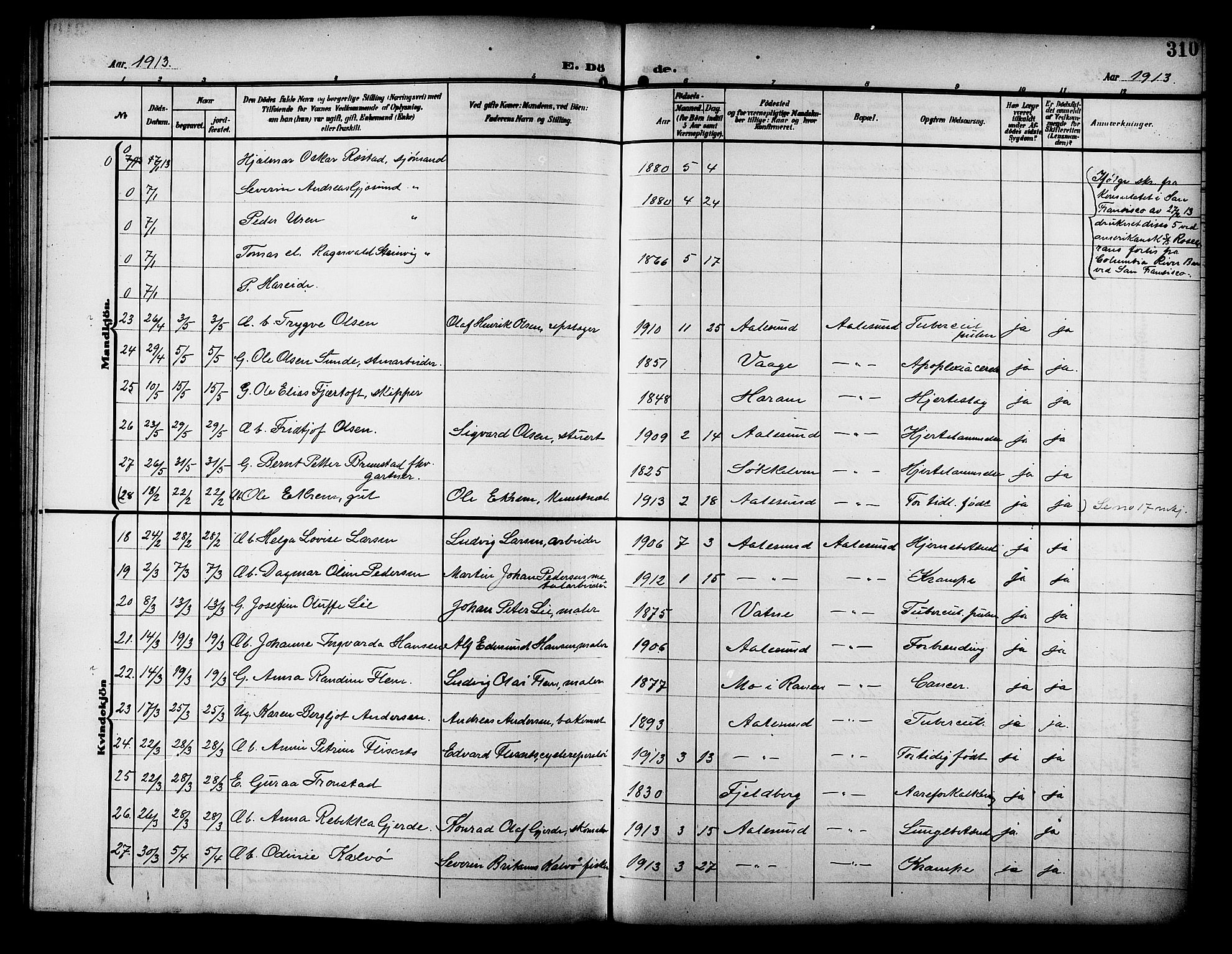 Ministerialprotokoller, klokkerbøker og fødselsregistre - Møre og Romsdal, AV/SAT-A-1454/529/L0470: Parish register (copy) no. 529C07, 1907-1917, p. 310