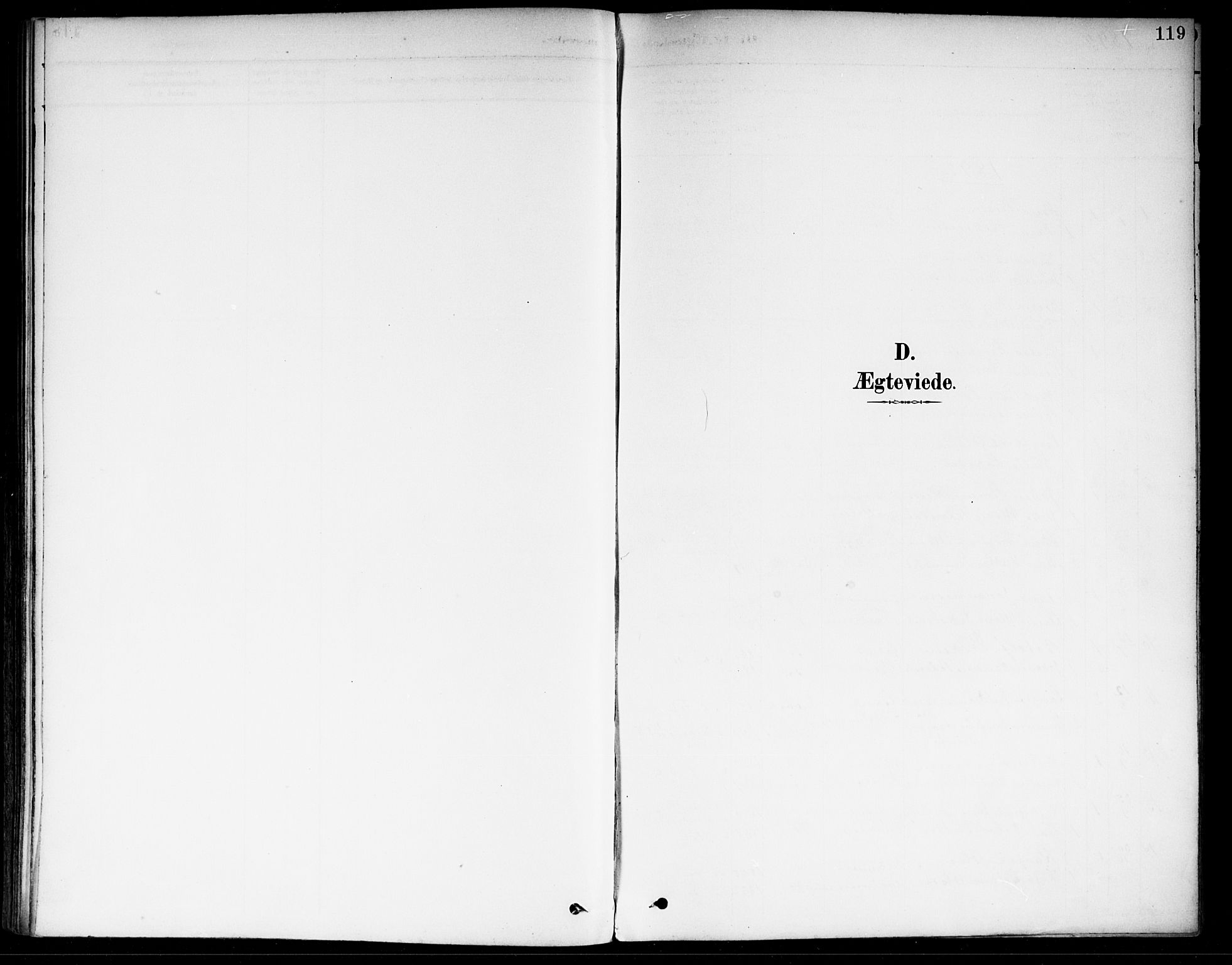 Fet prestekontor Kirkebøker, AV/SAO-A-10370a/F/Fa/L0015: Parish register (official) no. I 15, 1892-1904, p. 119