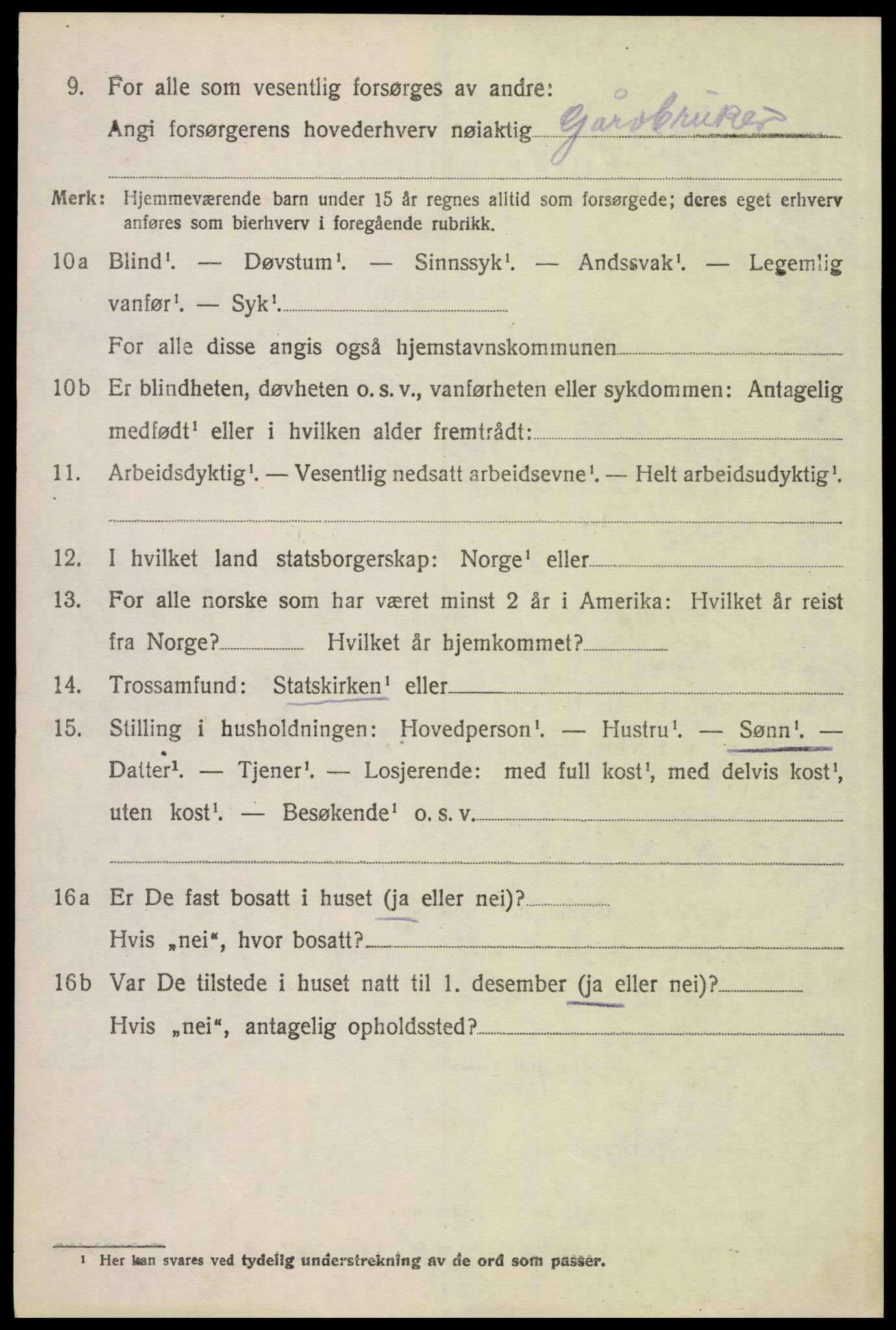 SAH, 1920 census for Åsnes, 1920, p. 13355