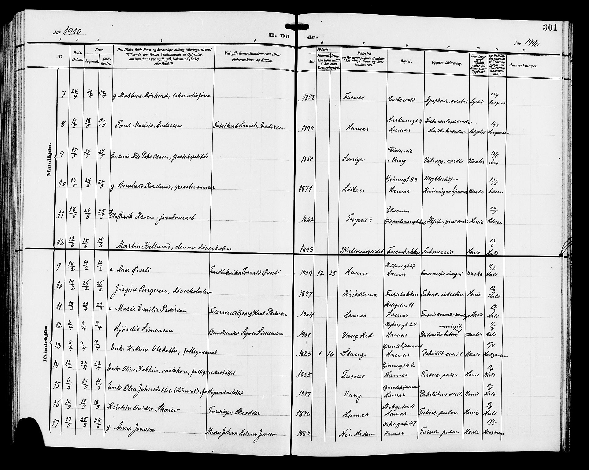 Hamar prestekontor, SAH/DOMPH-002/H/Ha/Hab/L0001: Parish register (copy) no. 1, 1899-1914, p. 301