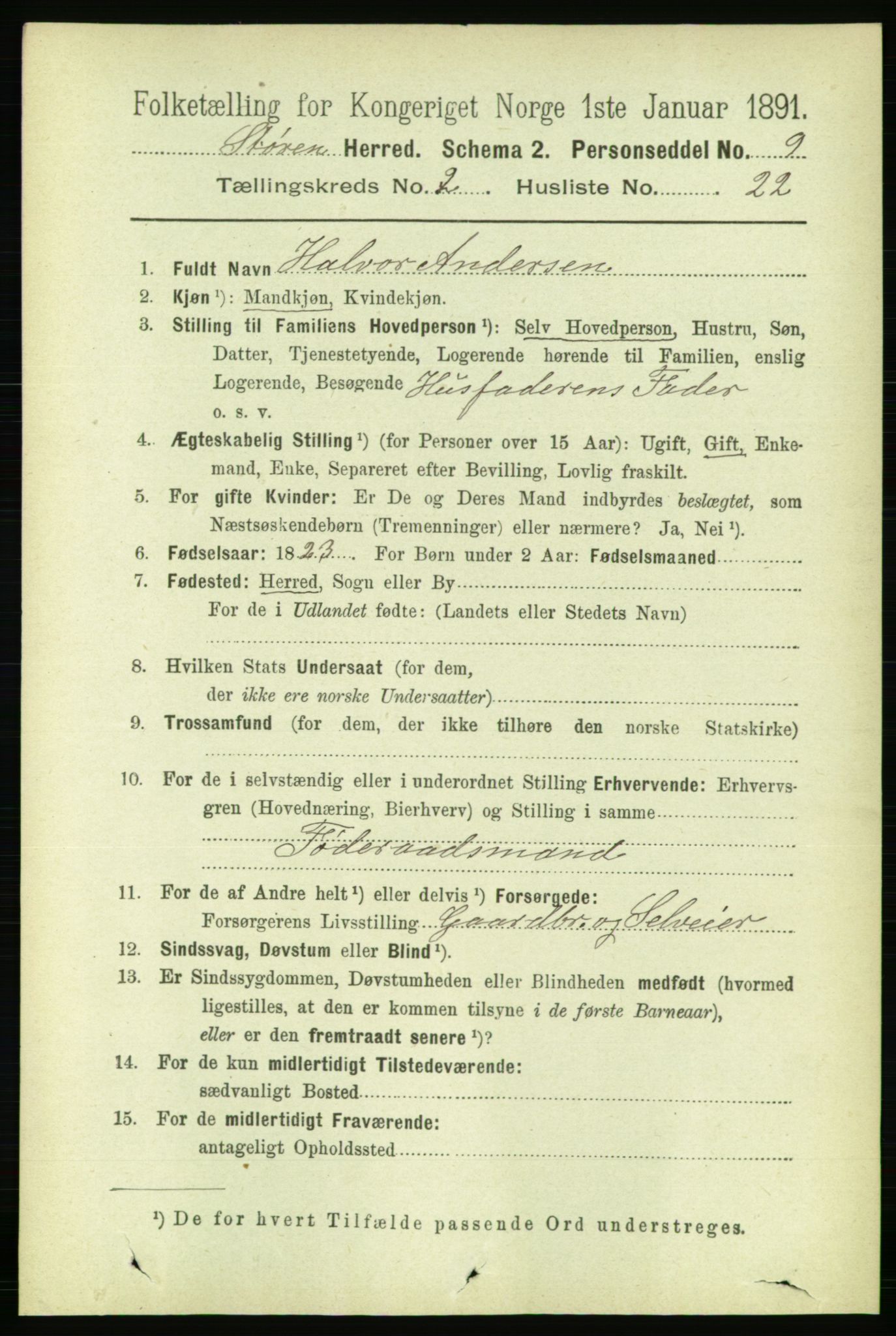 RA, 1891 census for 1648 Støren, 1891, p. 552