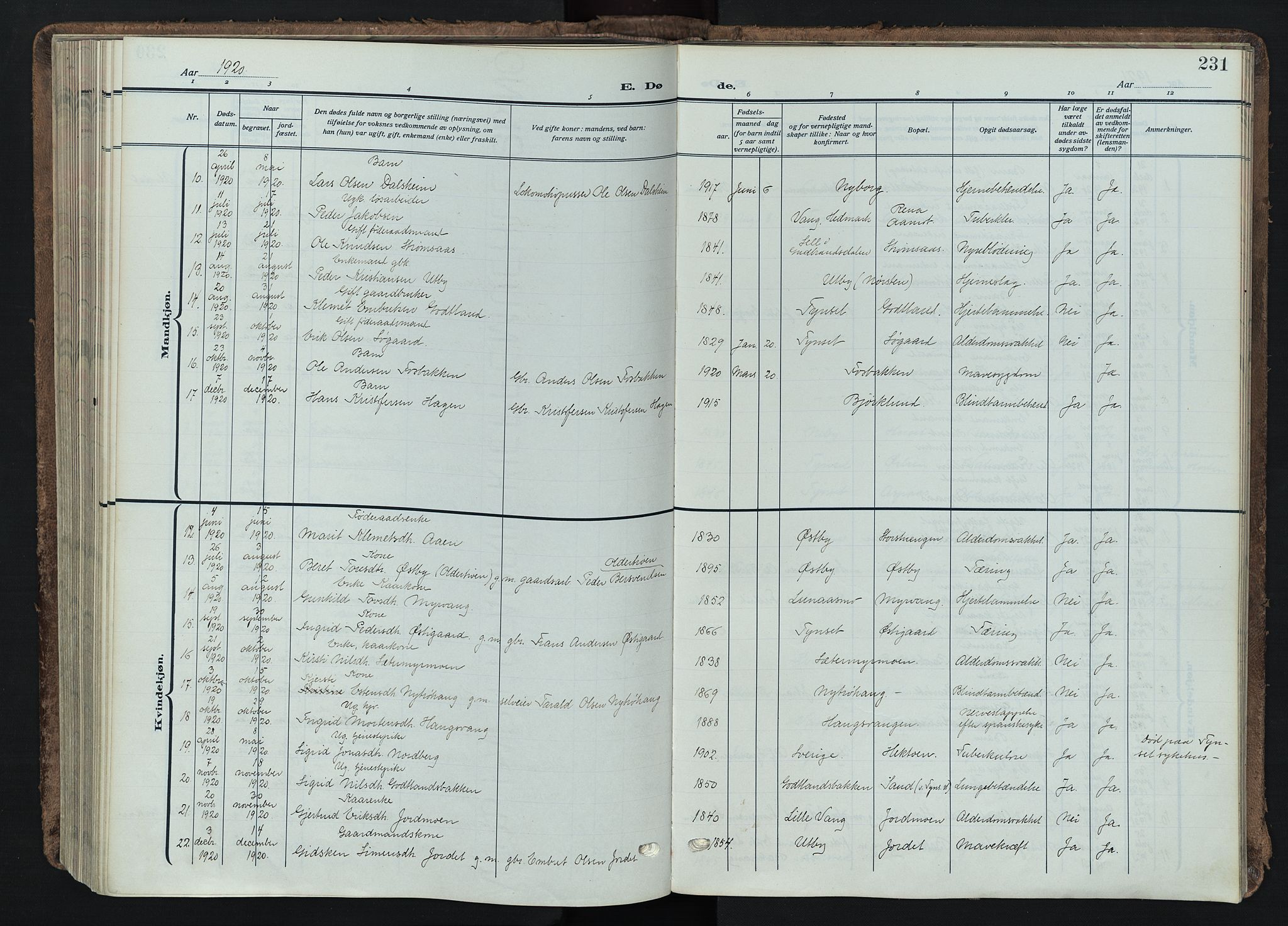 Tynset prestekontor, AV/SAH-PREST-058/H/Ha/Haa/L0026: Parish register (official) no. 26, 1915-1929, p. 231