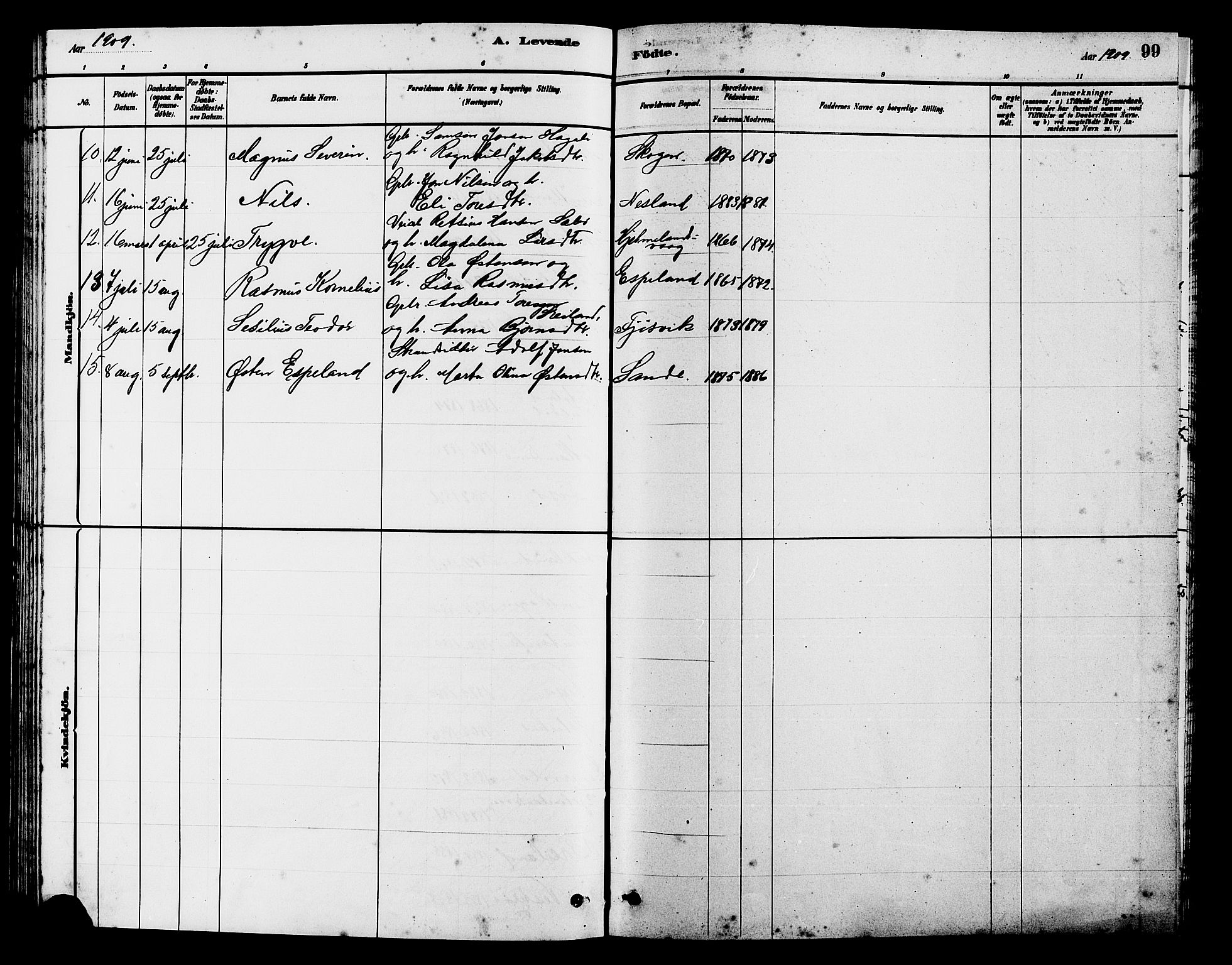 Hjelmeland sokneprestkontor, AV/SAST-A-101843/01/V/L0007: Parish register (copy) no. B 7, 1880-1909, p. 99