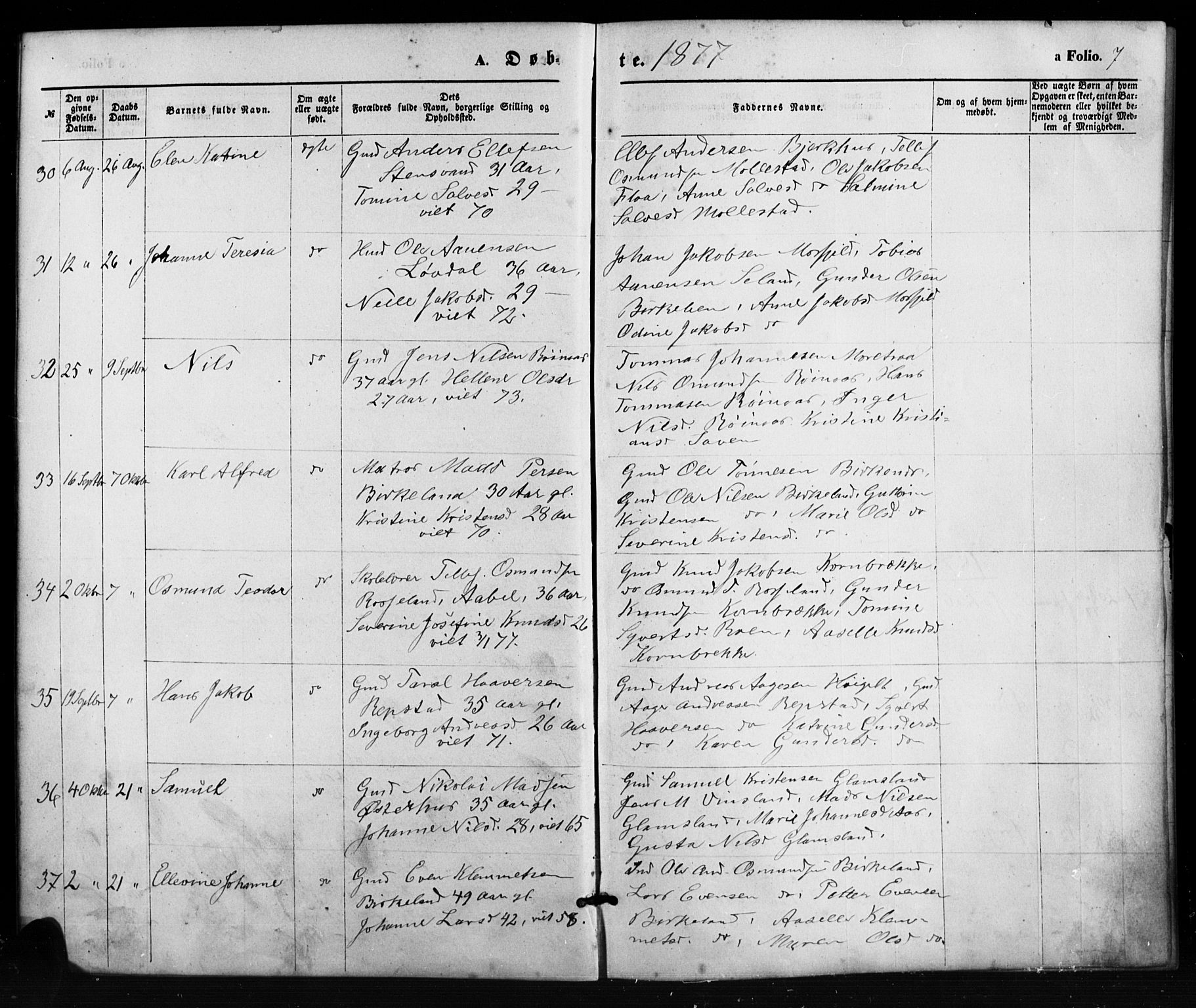 Birkenes sokneprestkontor, SAK/1111-0004/F/Fb/L0003: Parish register (copy) no. B 3, 1876-1892, p. 7