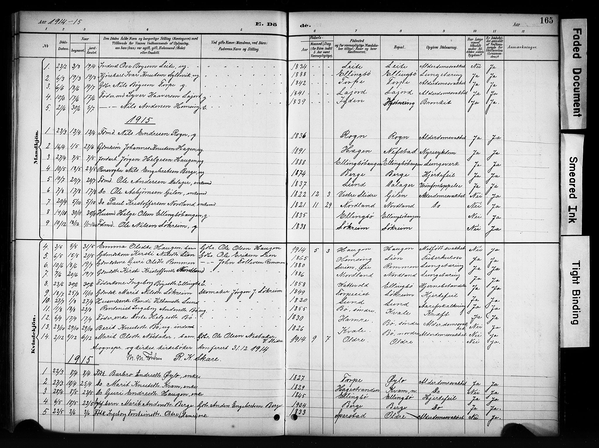 Vang prestekontor, Valdres, SAH/PREST-140/H/Hb/L0006: Parish register (copy) no. 6, 1893-1918, p. 165