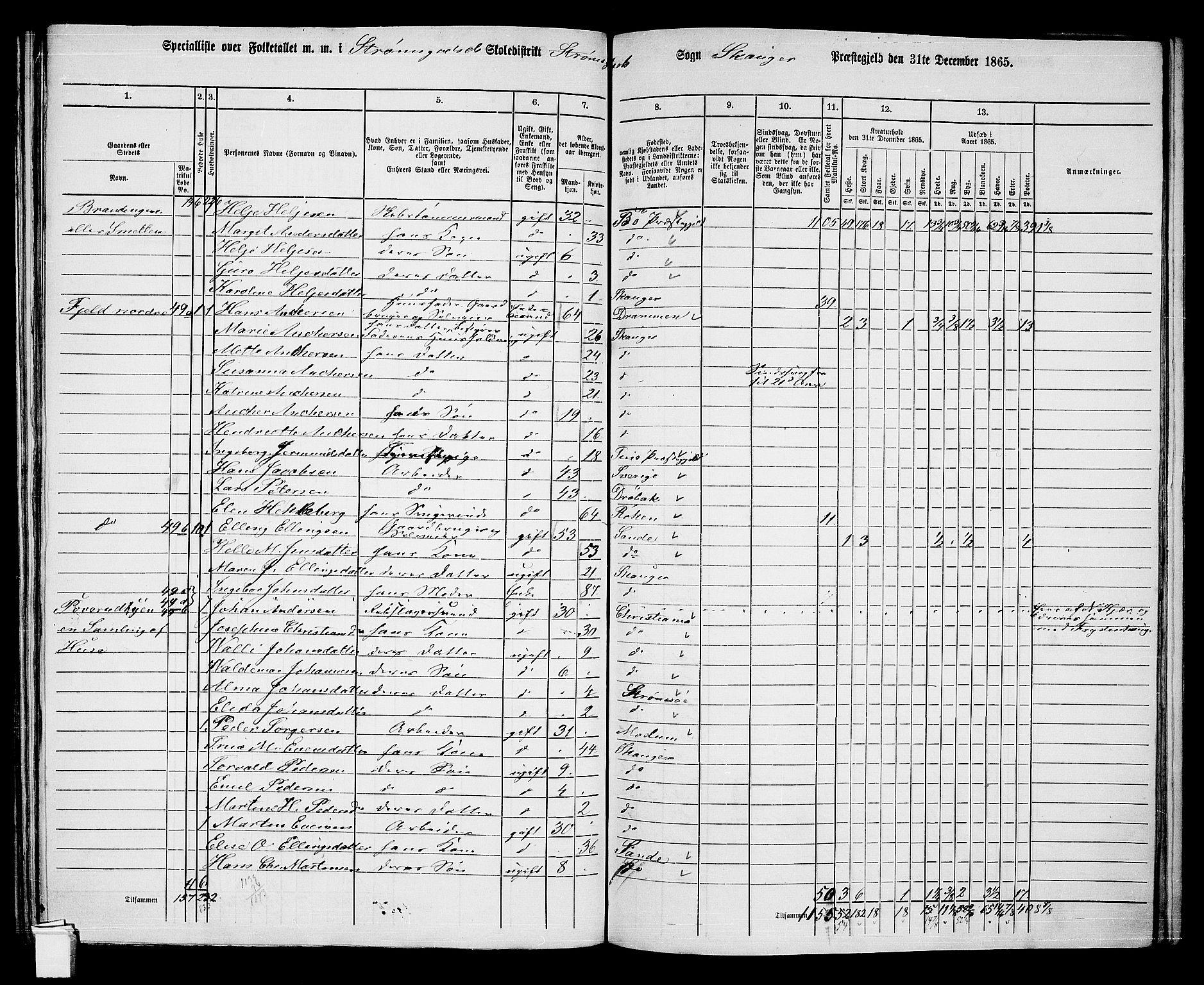 RA, 1865 census for Skoger, 1865, p. 156