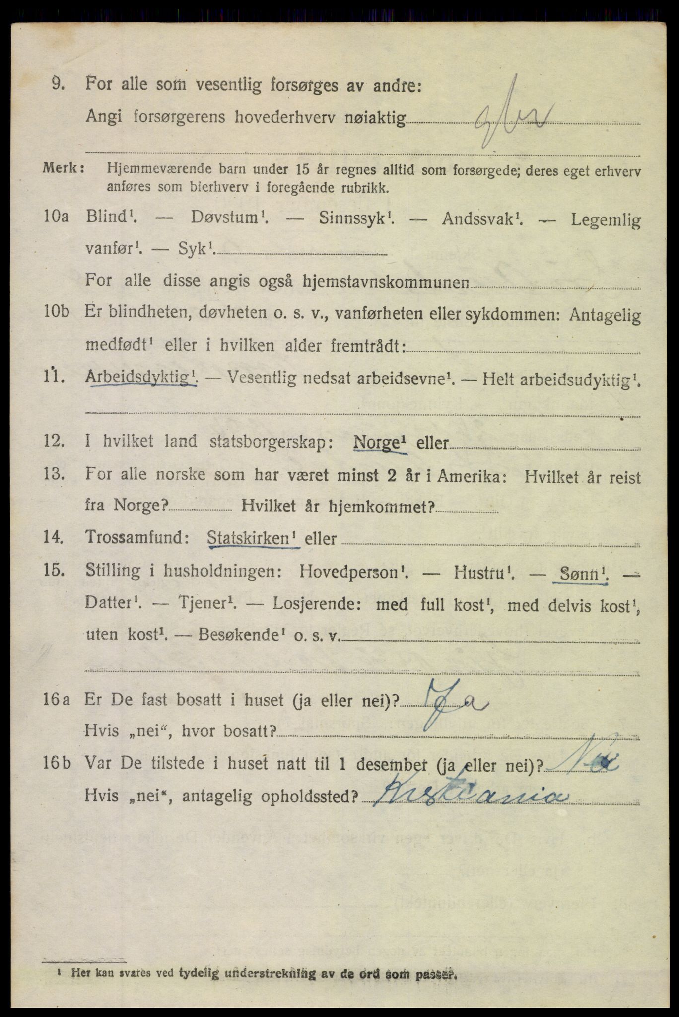 SAH, 1920 census for Sør-Aurdal, 1920, p. 5206