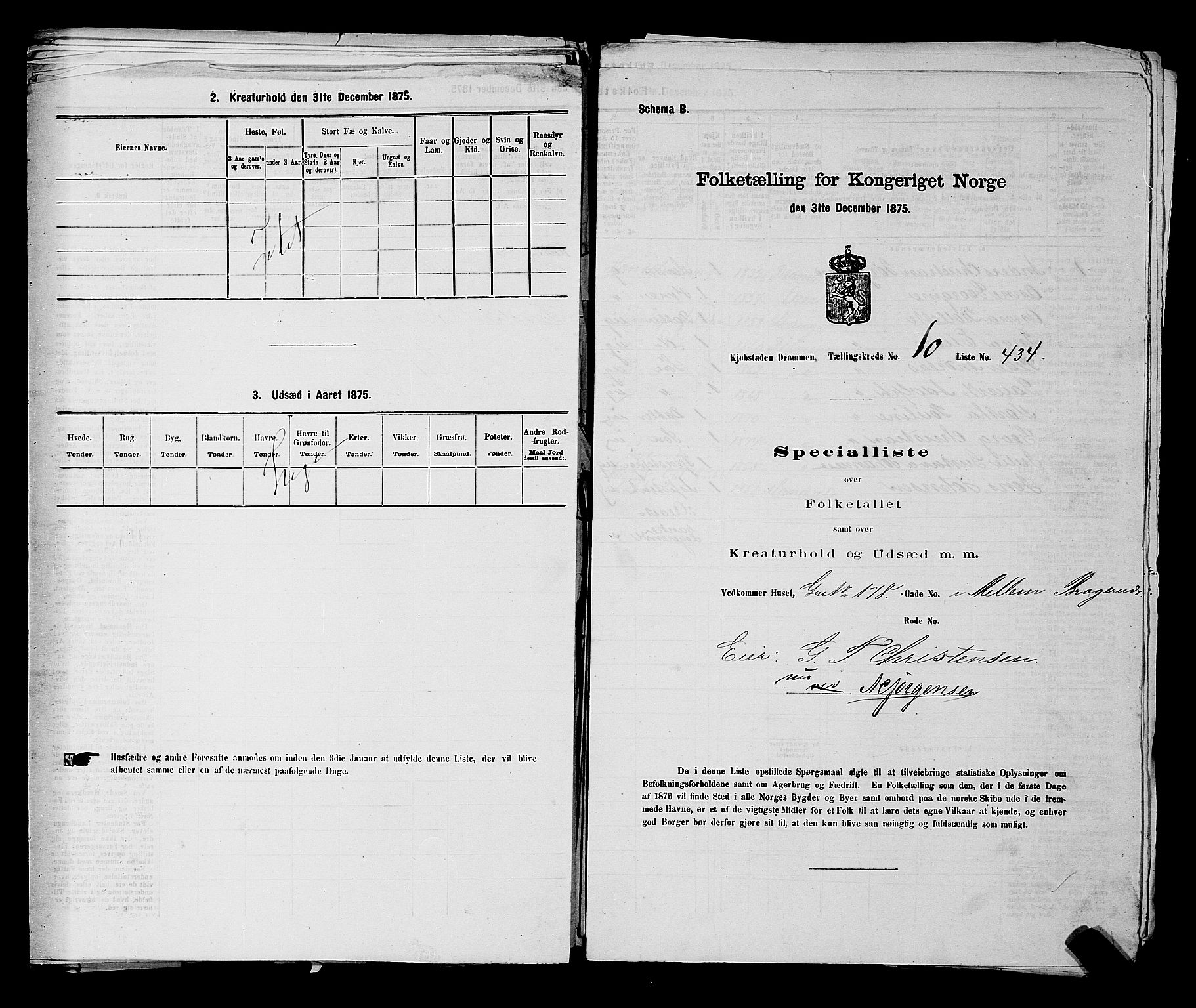SAKO, 1875 census for 0602 Drammen, 1875, p. 989