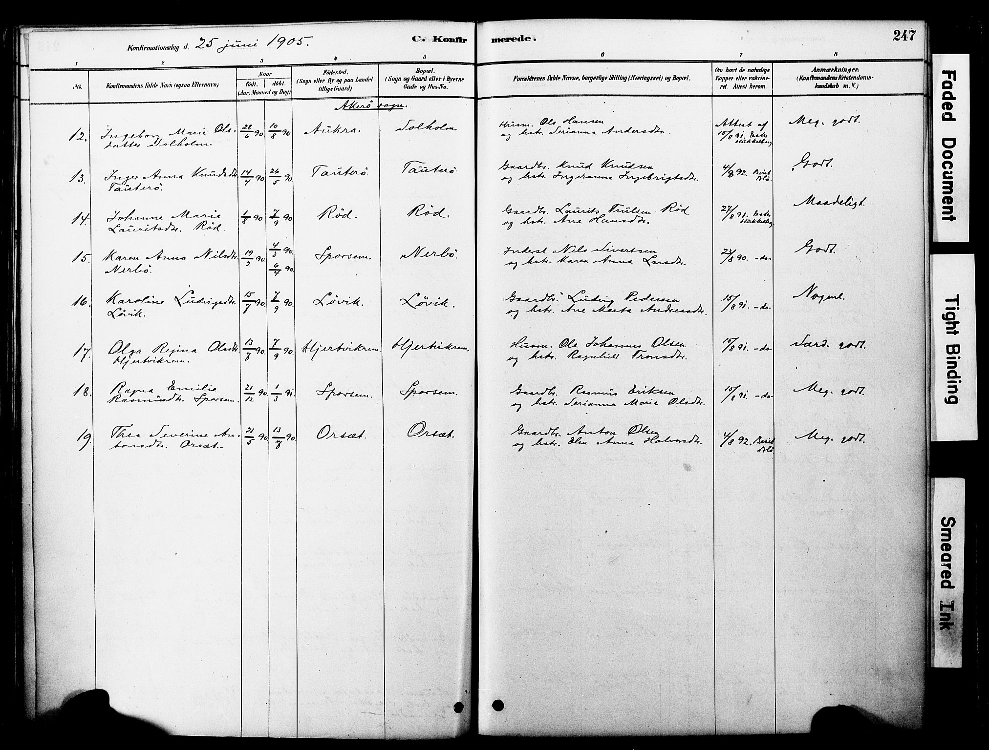 Ministerialprotokoller, klokkerbøker og fødselsregistre - Møre og Romsdal, SAT/A-1454/560/L0721: Parish register (official) no. 560A05, 1878-1917, p. 247