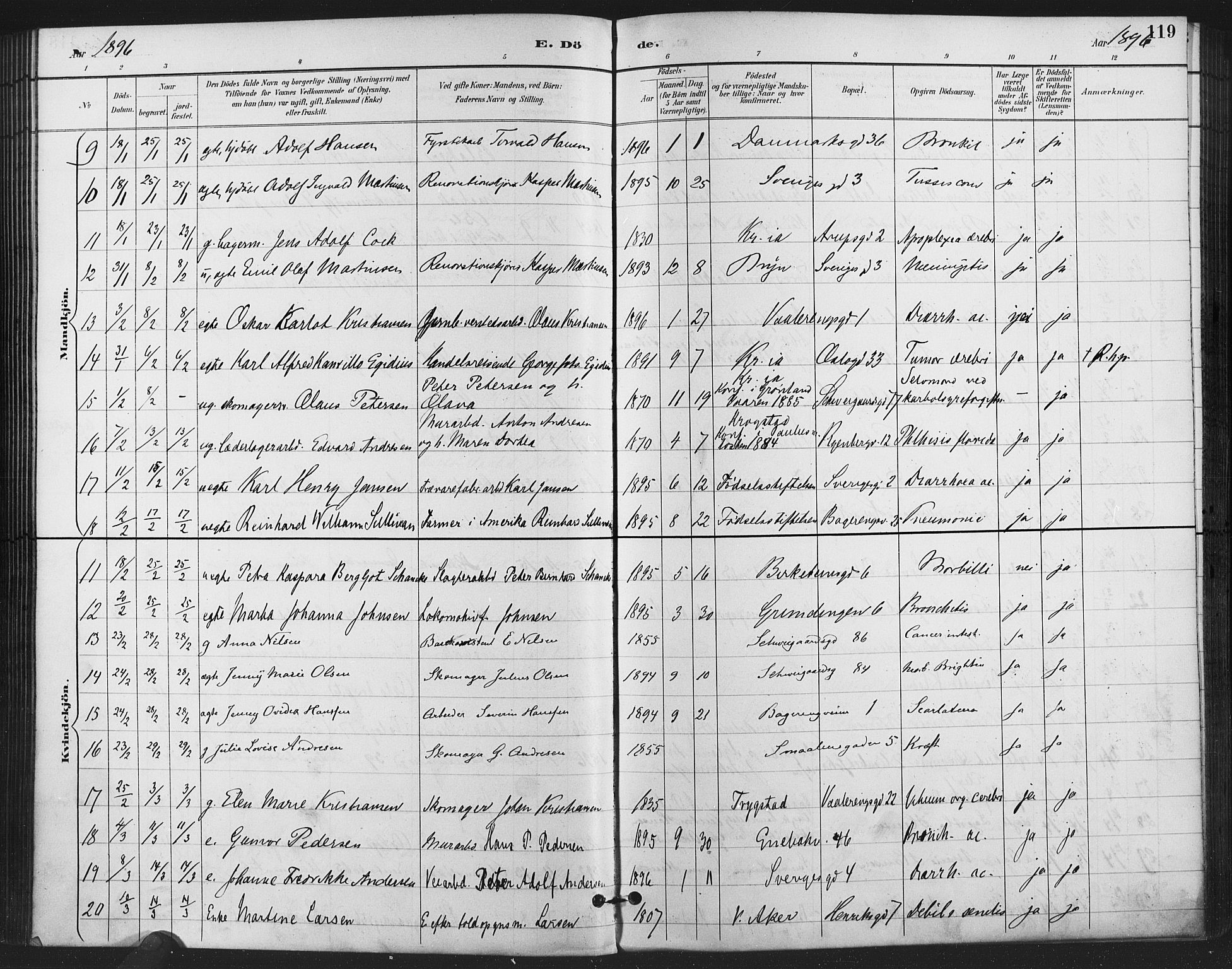 Gamlebyen prestekontor Kirkebøker, SAO/A-10884/F/Fa/L0009: Parish register (official) no. 9, 1888-1909, p. 119