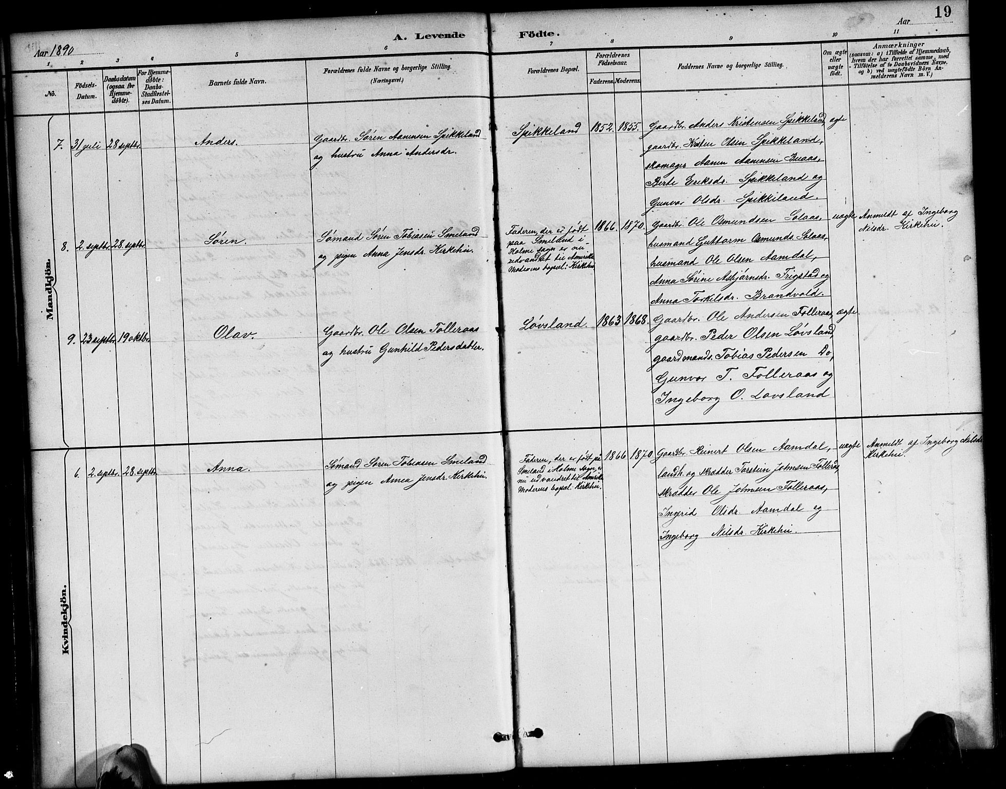 Bjelland sokneprestkontor, AV/SAK-1111-0005/F/Fb/Fbb/L0005: Parish register (copy) no. B 5, 1887-1918, p. 19