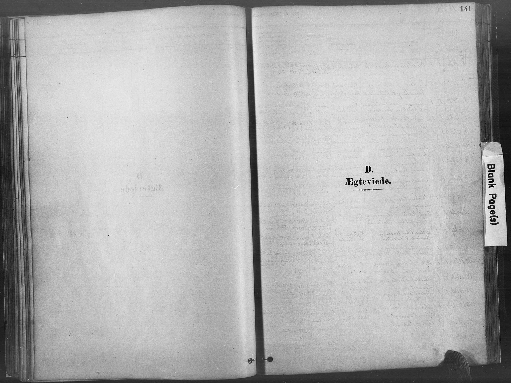 Hommedal sokneprestkontor, SAK/1111-0023/F/Fa/Fab/L0006: Parish register (official) no. A 6, 1878-1897, p. 141