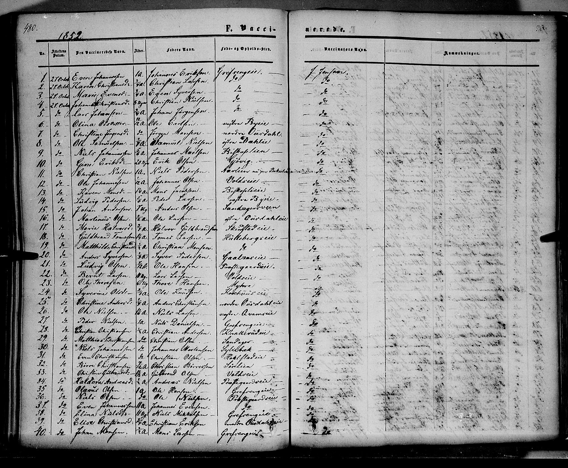 Nes prestekontor, Hedmark, SAH/PREST-020/K/Ka/L0004: Parish register (official) no. 4, 1852-1886, p. 480