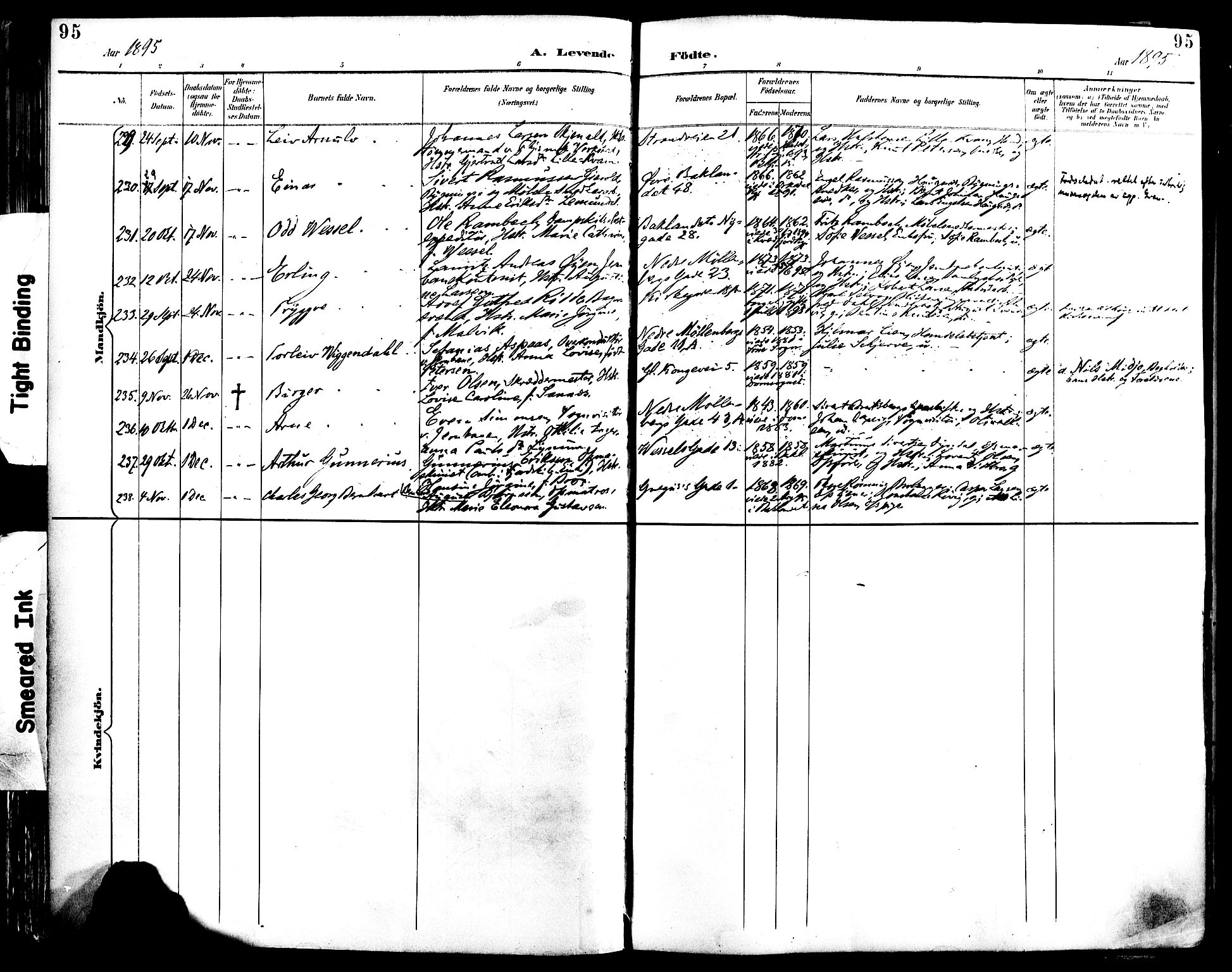 Ministerialprotokoller, klokkerbøker og fødselsregistre - Sør-Trøndelag, AV/SAT-A-1456/604/L0197: Parish register (official) no. 604A18, 1893-1900, p. 95